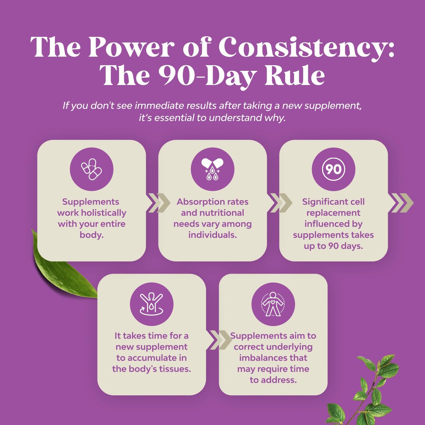 Pre-Order | Arrives in 5–10 Days – Complete Perimenopause Supplement for Women - Multibenefit Menopause Ease for Women with Maca Root Vitex Berry & Black Cohosh for Hot Flashes Night Sweats Hormone Balance and Mood Support (1 Month)