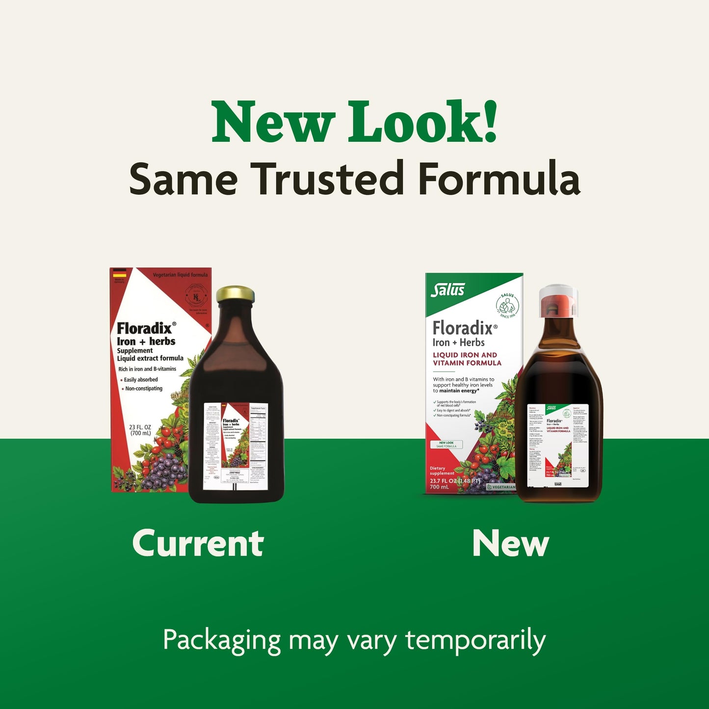Pre-Order | Arrives in 5–10 Days – Floradix by Salus Iron & Herbs - Liquid Herbal Supplement for Energy Support* - Iron Supplement with Vitamin C & B Complex Vitamins - for Men & Women - 23.7 Fl Oz