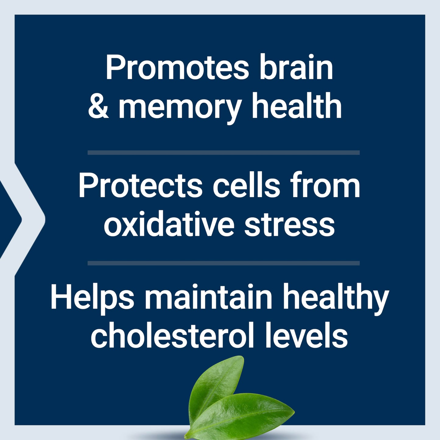 Life Extension Blueberry Extract Capsules - Whole Fruit Wild Blueberry Extract Supplement Pills- For Brain Health Support - Non-GMO, Gluten-Free ,Vegetarian - 60 Capsules