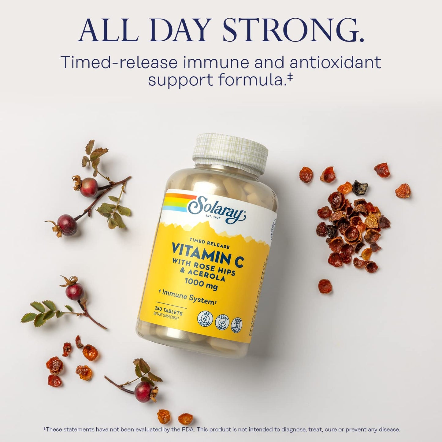 Pre-Order | Arrives in 5–10 Days – SOLARAY Vitamin C w/Rose HIPS & Acerola | 1000mg | Two-Stage Timed-Release Healthy Immune Function, Skin, Hair & Nails Support | Non-GMO | 250ct