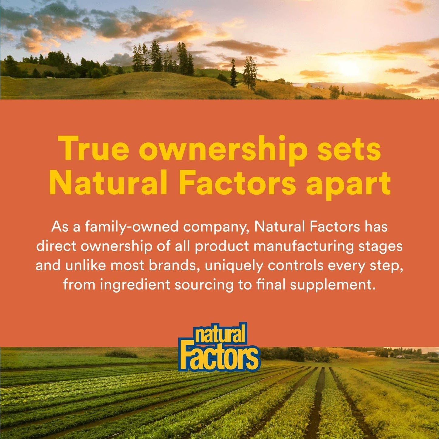 NATURAL FACTORS Astaxanthin Plus 4Mg, 60 CT