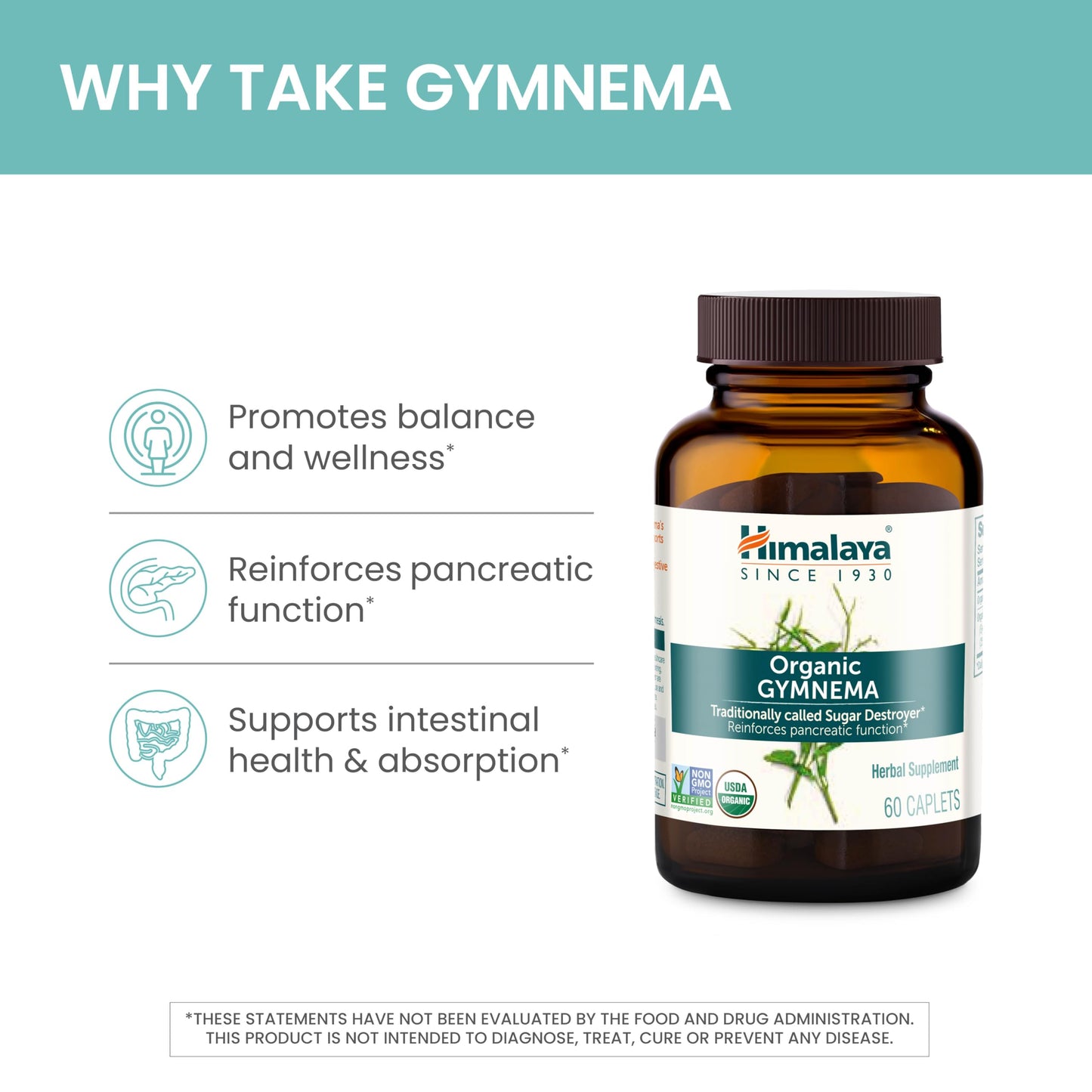 Himalaya Organic Gymnema Sylvestre Herbal Supplement USDA Certified Organic, Non-GMO, 700 mg, 60 Plant-Based Caplets