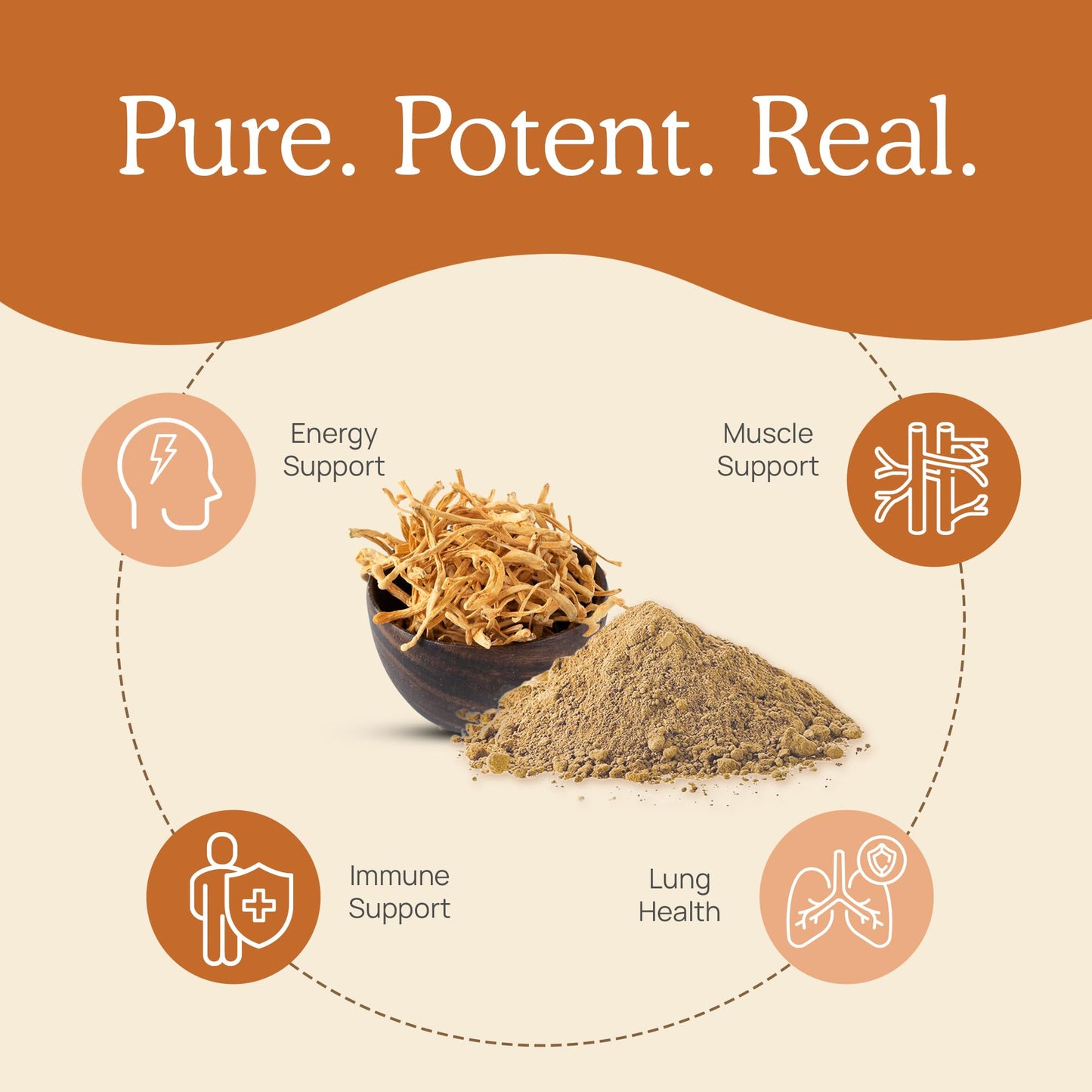 Real Mushrooms Capsules Supplements - Organic Cordyceps Mushroom Powder in Capsules – for Daily Wellness Support – Rich in Beta Glucans - Vegan, Non-GMO, 300 ct Organic Militaris Extract