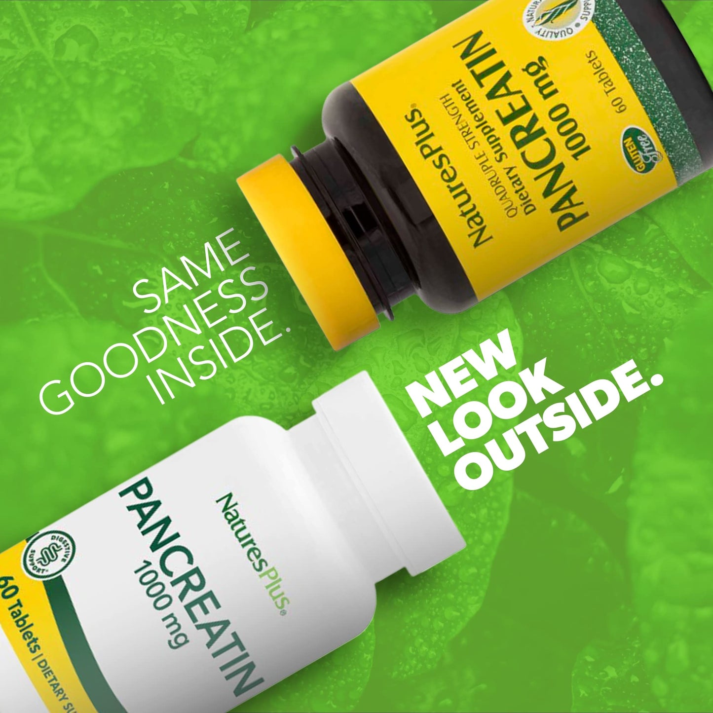 Natures Plus Pancreatin - 1000 mg, 60 Tablets - Natural Digestive Enzyme Supplement for Gastrointestinal Support - Contains Amylase, Protease & Lipase - Gluten-Free - 60 Servings