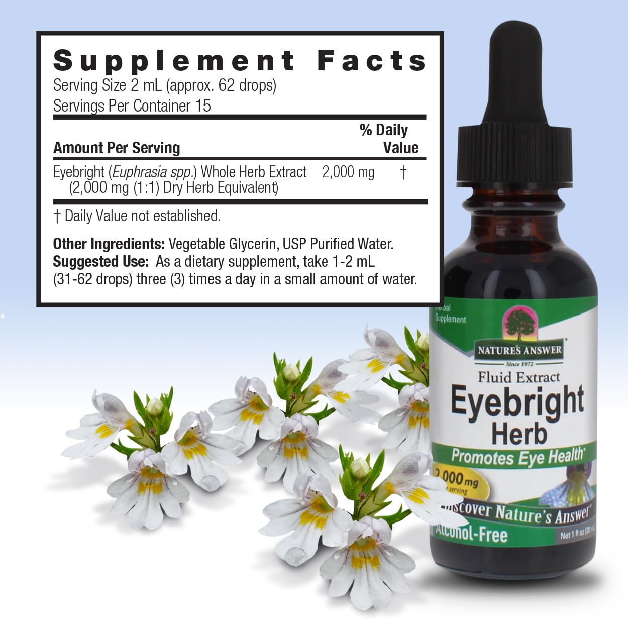 Nature's Answer Eyebright Extract 1 Ounce | Vision & Eye Support | Alcohol Free, Vegan, Non GMO, Gluten Free, Kosher | Quick Absorption | Single Count