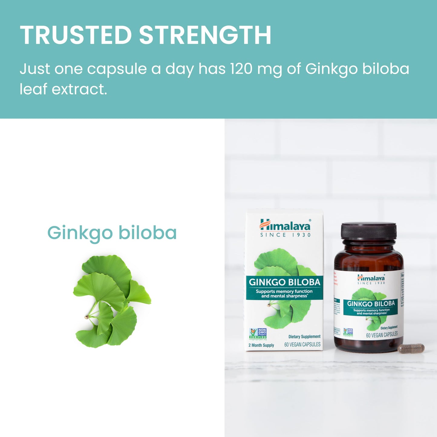 Himalaya Ginkgo Biloba, Herbal Supplement for Memory & Mental Sharpness, Vegan, Gluten Free, 120 mg Ginkgo Leaf Extract, 60 Capsules
