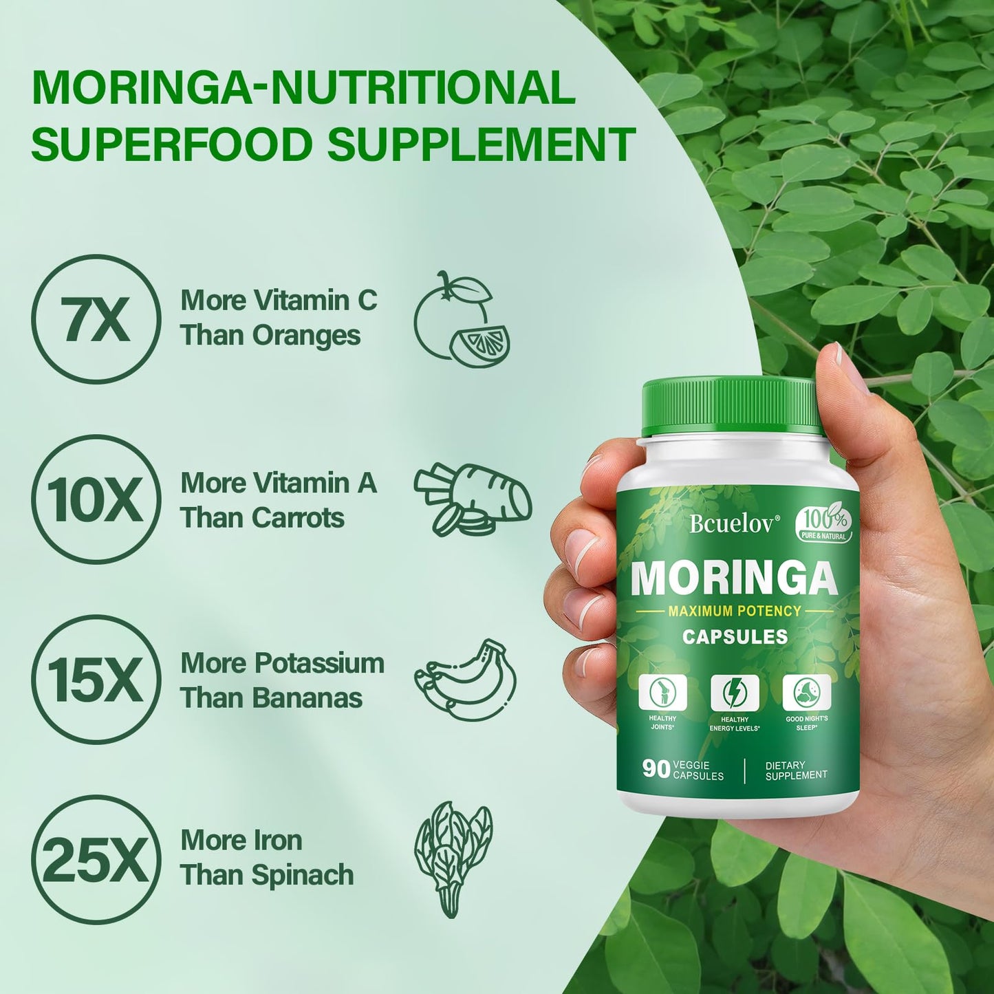 Moringa Capsules 2 Bottles | 800mg Pure Moringa Powder Capsules – Supports Energy, Immune Support, Gut Health, Green Superfood Contains Vitamins & Amino Acids