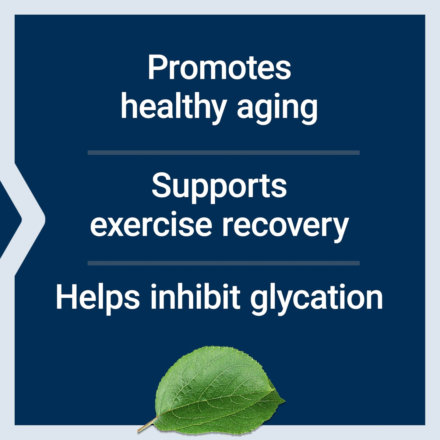 Life Extension Carnosine, Healthy Aging, Exercise Recovery, Gluten-Free, Non-GMO, Vegetarian, 60 Capsules