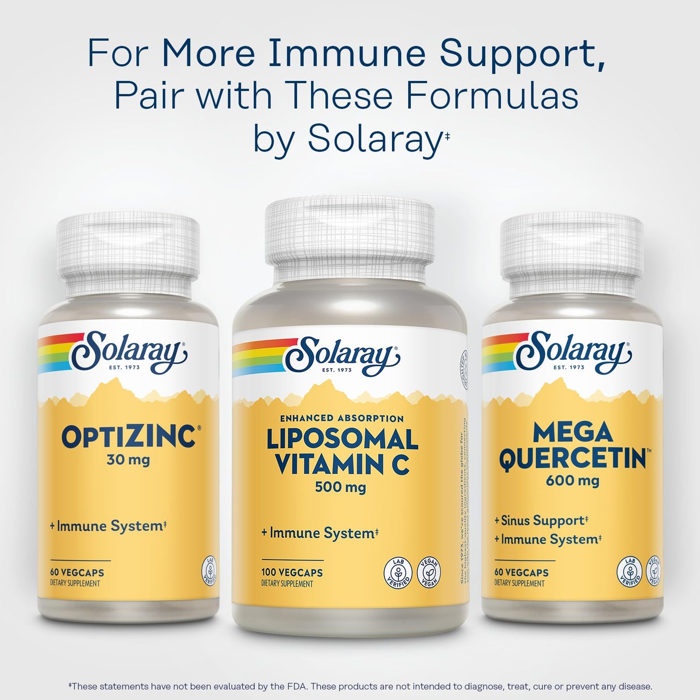 Pre-Order | Arrives in 5–10 Days – SOLARAY Liposomal Vitamin C 500mg - Enhanced Absorption Vitamin C Liposomal Blend with Fatty Acids - Antioxidant and Immune Support Supplement - Vegan, 60-Day Guarantee, 100 Servings, 100 VegCaps