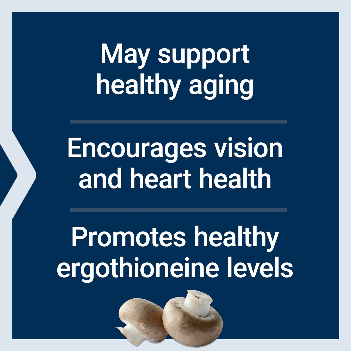 Life Extension Essential Youth L-Ergothioneine – Promotes Longevity & Healthy Aging – Gluten-Free – Non-GMO – Vegetarian – 5 mg – 30 Vegetarian Capsules