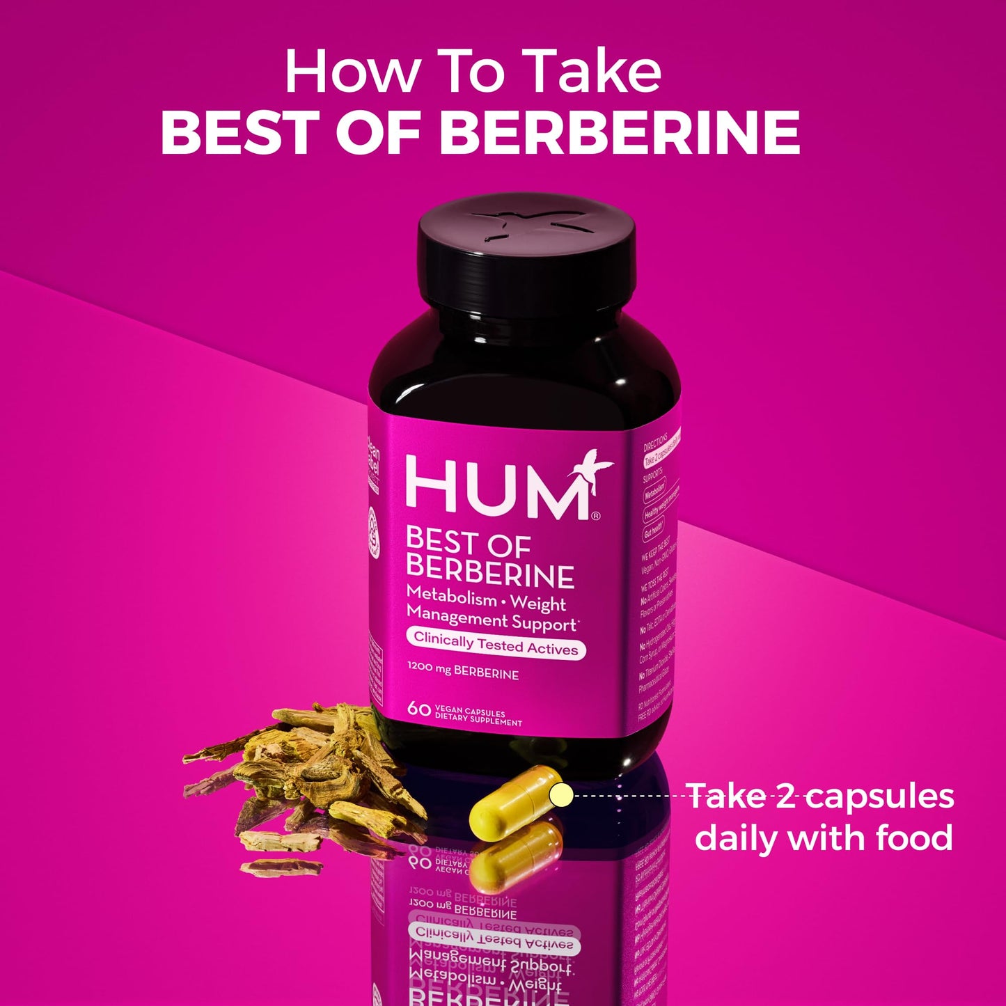 HUM Best of Berberine Supplement 1200mg - Pure Potency for Metabolic Wellness, Enhanced with BioPerine for Maximum Absorption (60 Capsules)