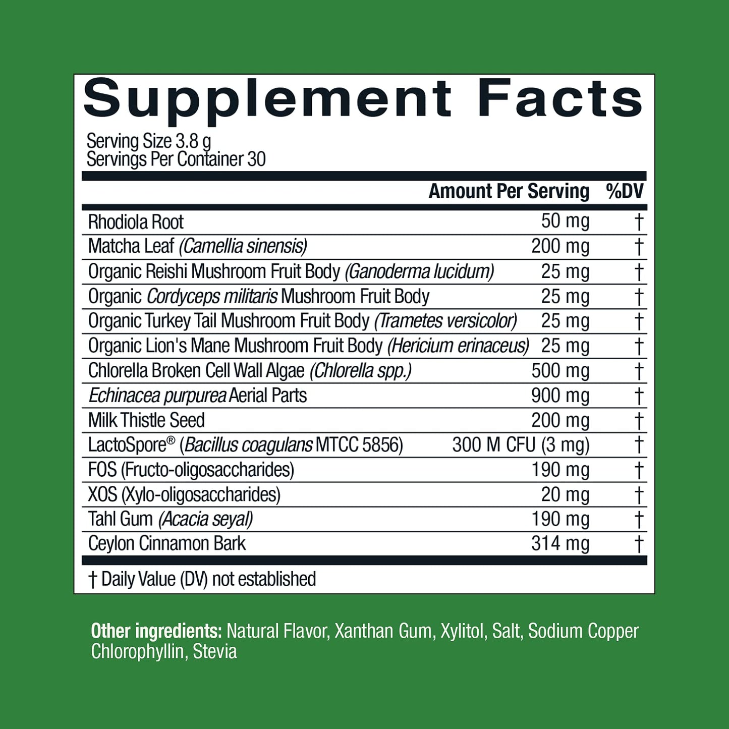 Live Conscious Beyond Greens Superfood Powder - Delicious Debloating Super Greens Powder - Matcha Greens Blend w/Chlorella, Echinacea, Probiotics for Immune Support & Energy