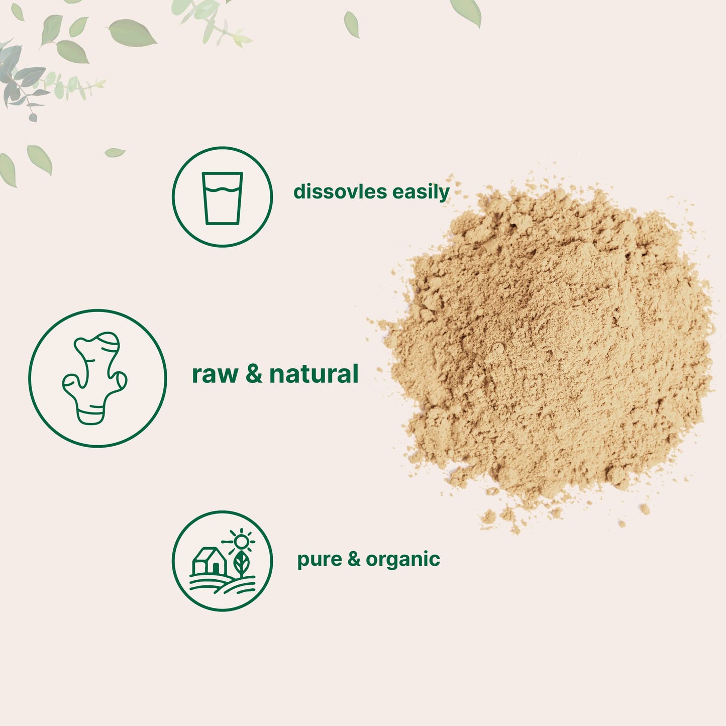 Organic Ginger powder, 2lbs (32oz) | Premium Source for Spice & Seasoning | Great for Baking, Cooking & Tea | Additive Free, Non-GMO, Bulk Supply
