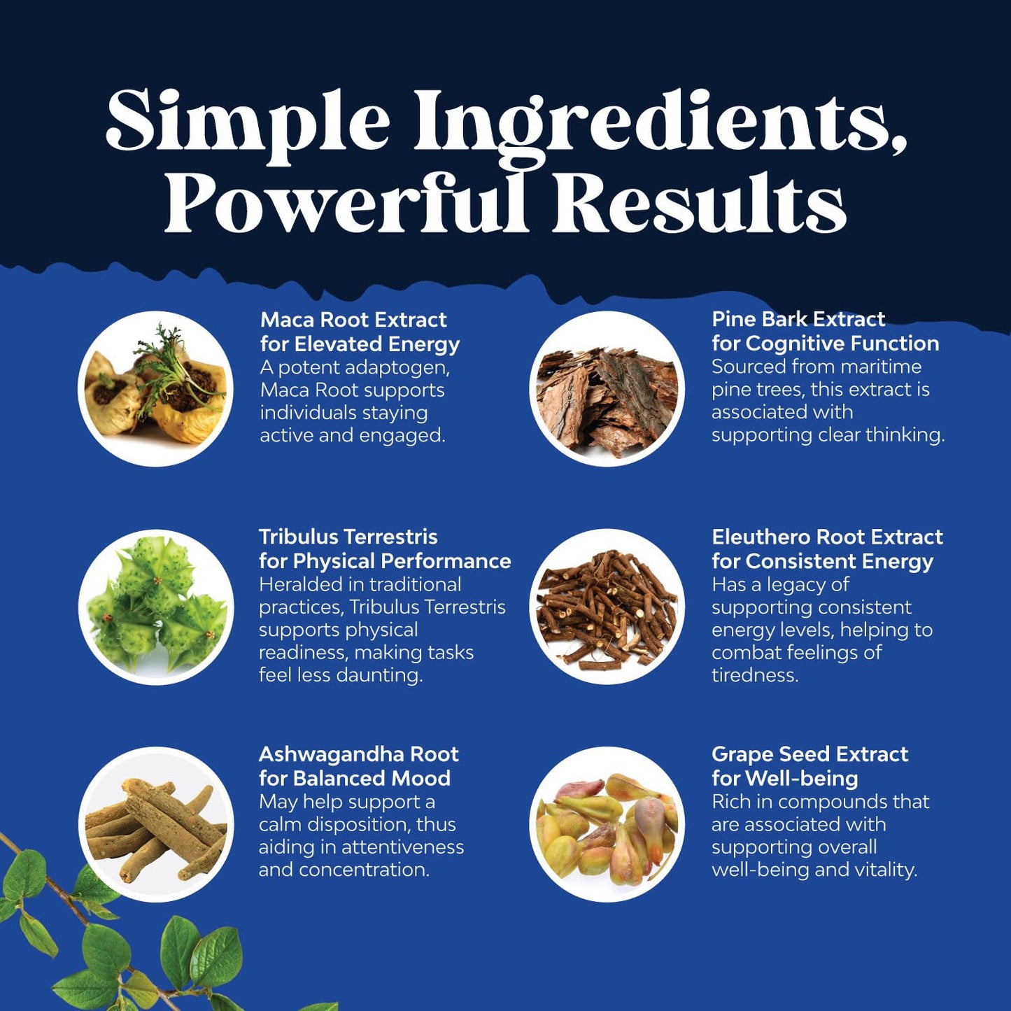 Potent Black Maca Root Capsules for Men - Herbal Wellness Supplement with Siberian Ginseng Ashwagandha and Black Maca Root - Men’s Wellness Supplement to Support General Health (60 Servings)