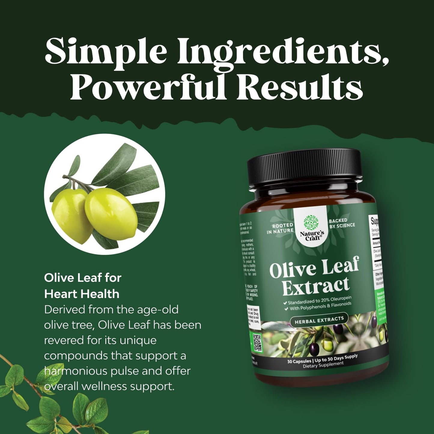 Potent Olive Leaf Extract Capsules - High Strength Antioxidant Supplement with Pure Olive Leaf with 20% Oleuropein - Herbal Heart Health Supplement - Vegan Non-GMO & Gluten Free (1 Month Supply)