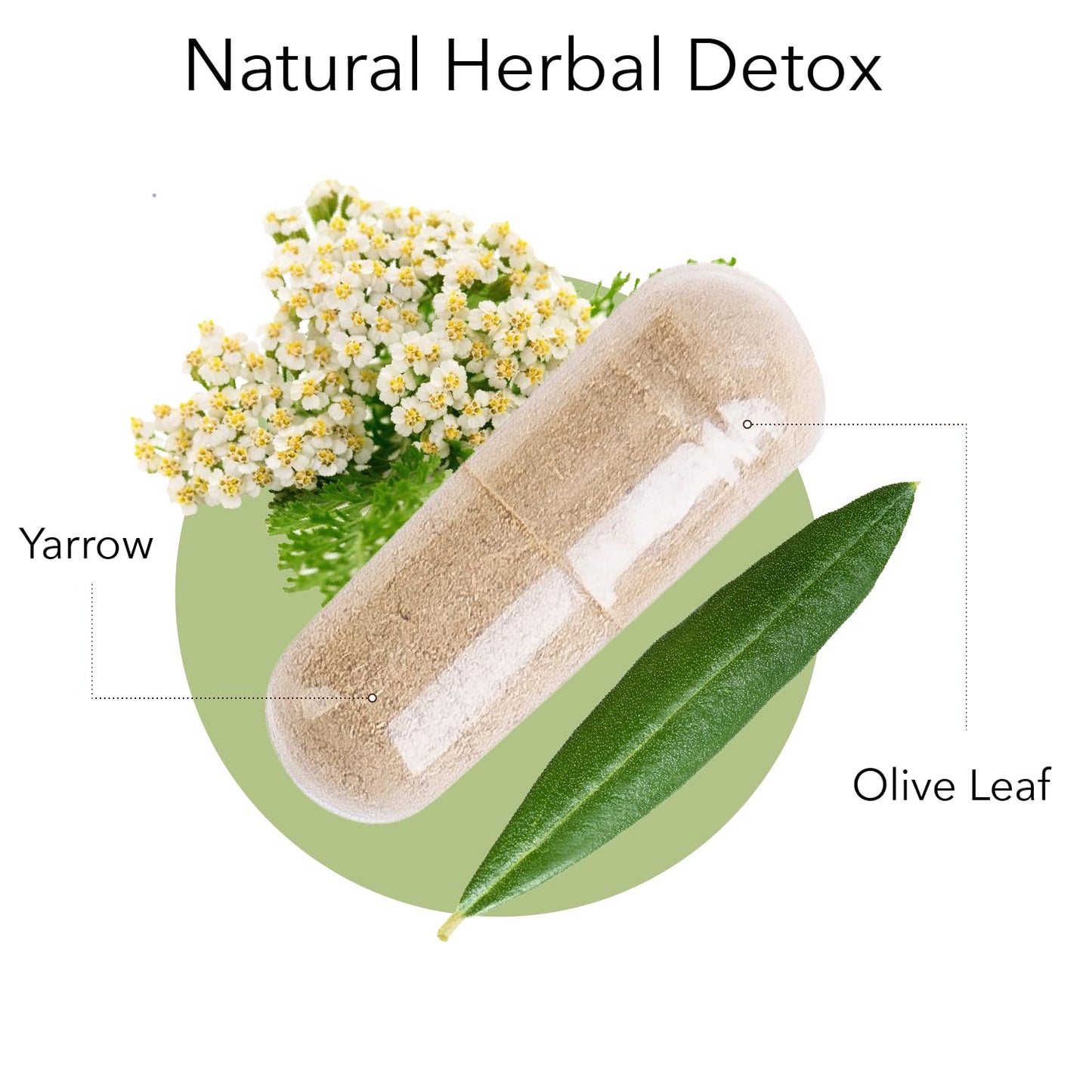 Kroeger Herb Products Wormwood and Olive Leaf Duo