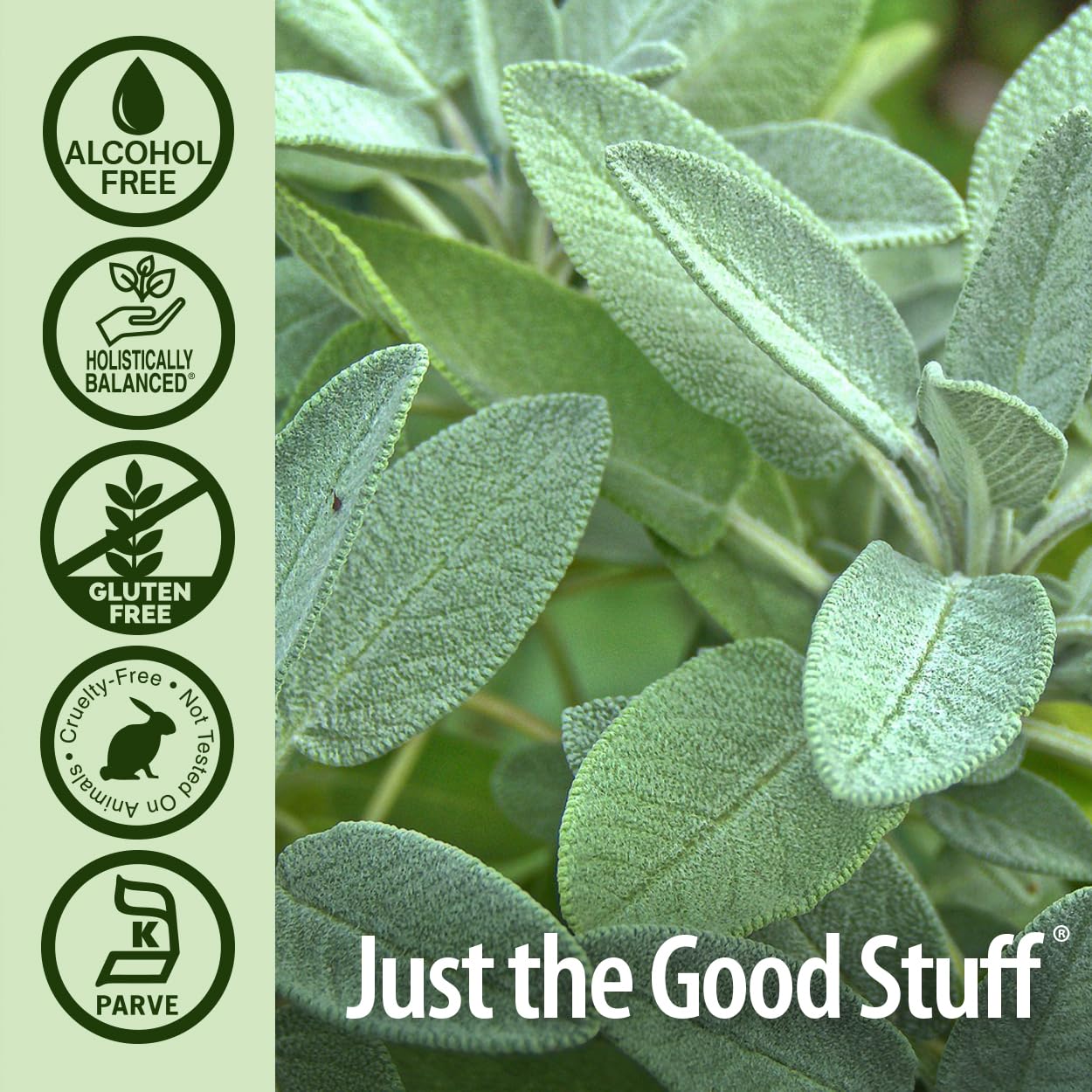 Nature's Answer Alcohol Free Sage Leaf Supplement 1 Fluid Ounce Gluten Free | Digestive Support | Promotes Mental Function | Benefits Gut Health
