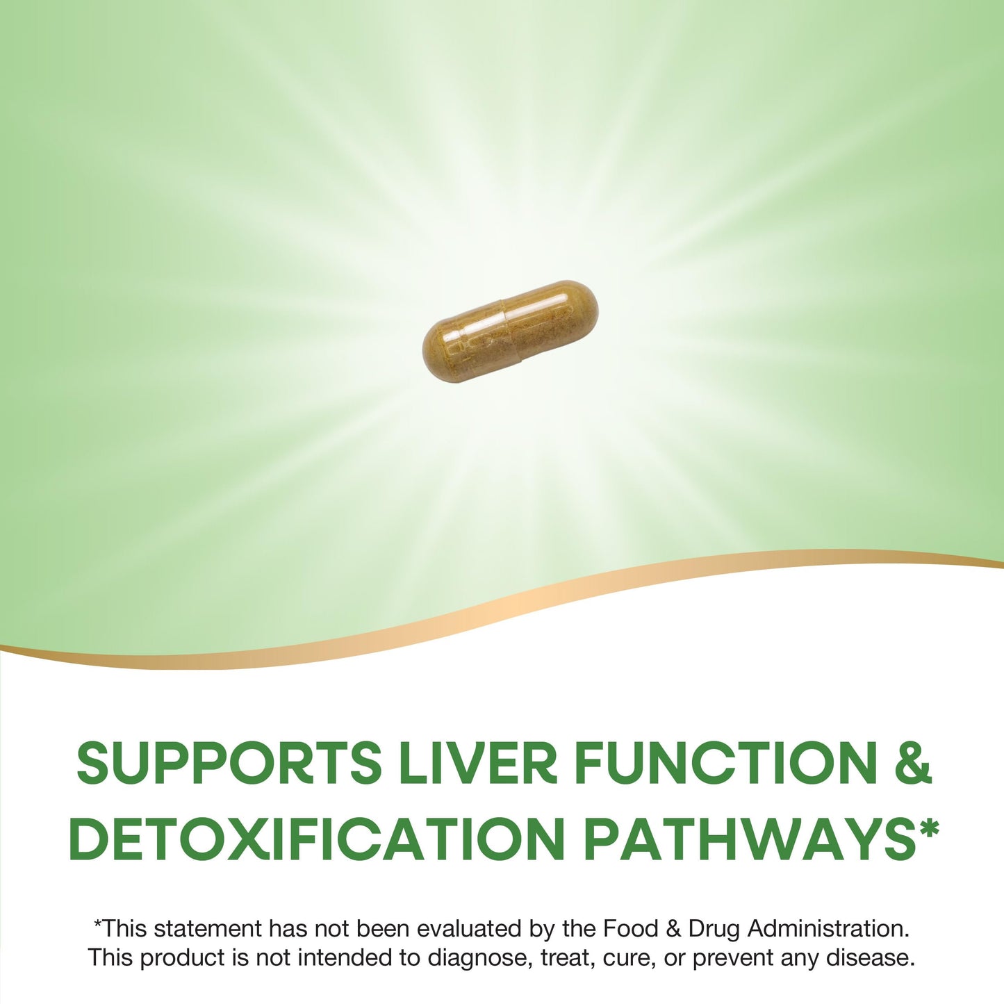Nature's Way Milk Thistle, Supports Liver Function & Detox Pathways*, 175 mg Milk Thistle Seed Extract Standardized to 80% Silymarin per Serving, Vegan, 60 Capsules