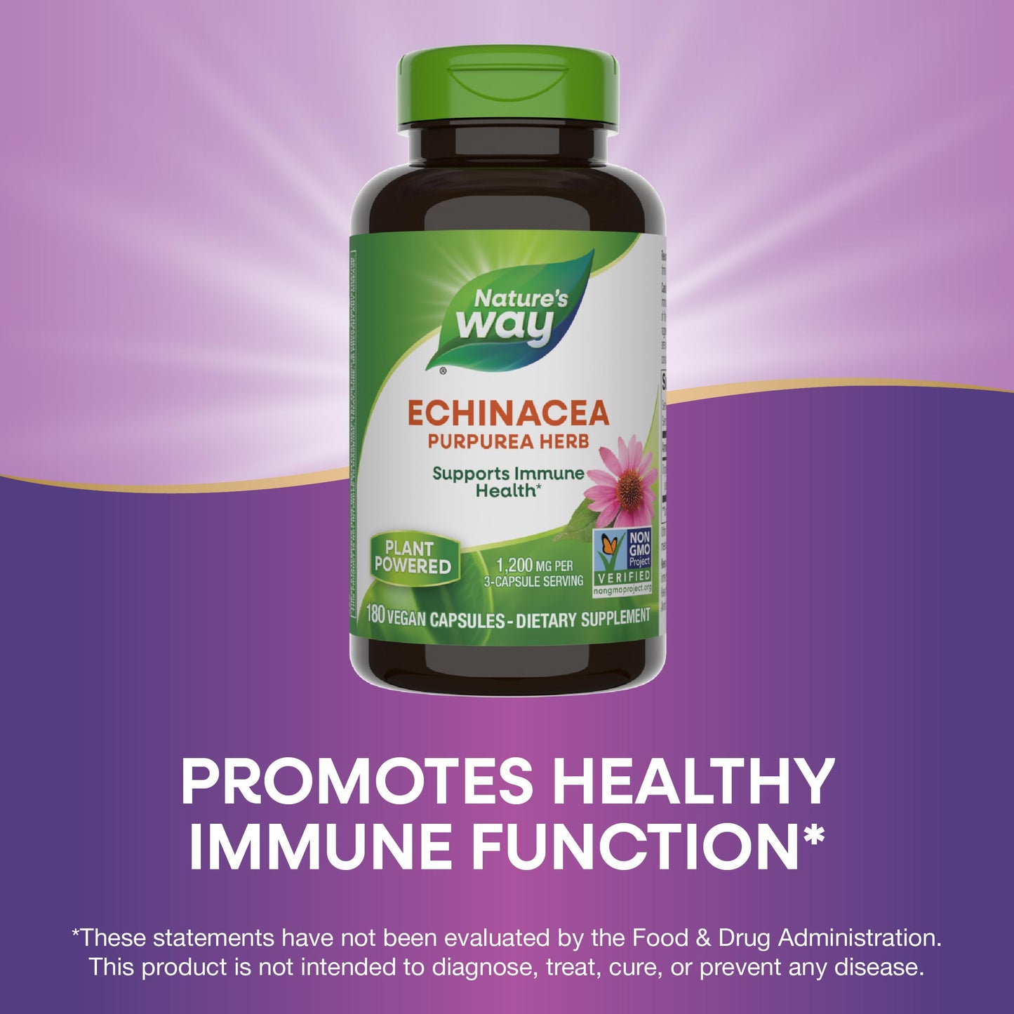 Nature's Way Echinacea Purpurea Herb, Immune Support*, 1,200 mg per 3- Capsule Serving, Non-GMO Project Verified, Vegan, 180 Capsules