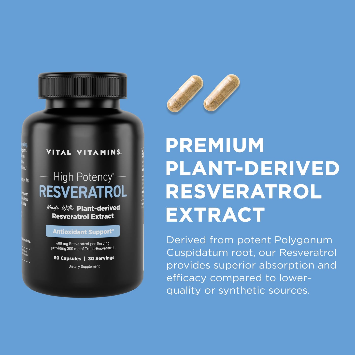 Vital Vitamins Resveratrol Supplement - Antioxidant Support, Cellular Longevity, Cognitive Function - 60 Capsules