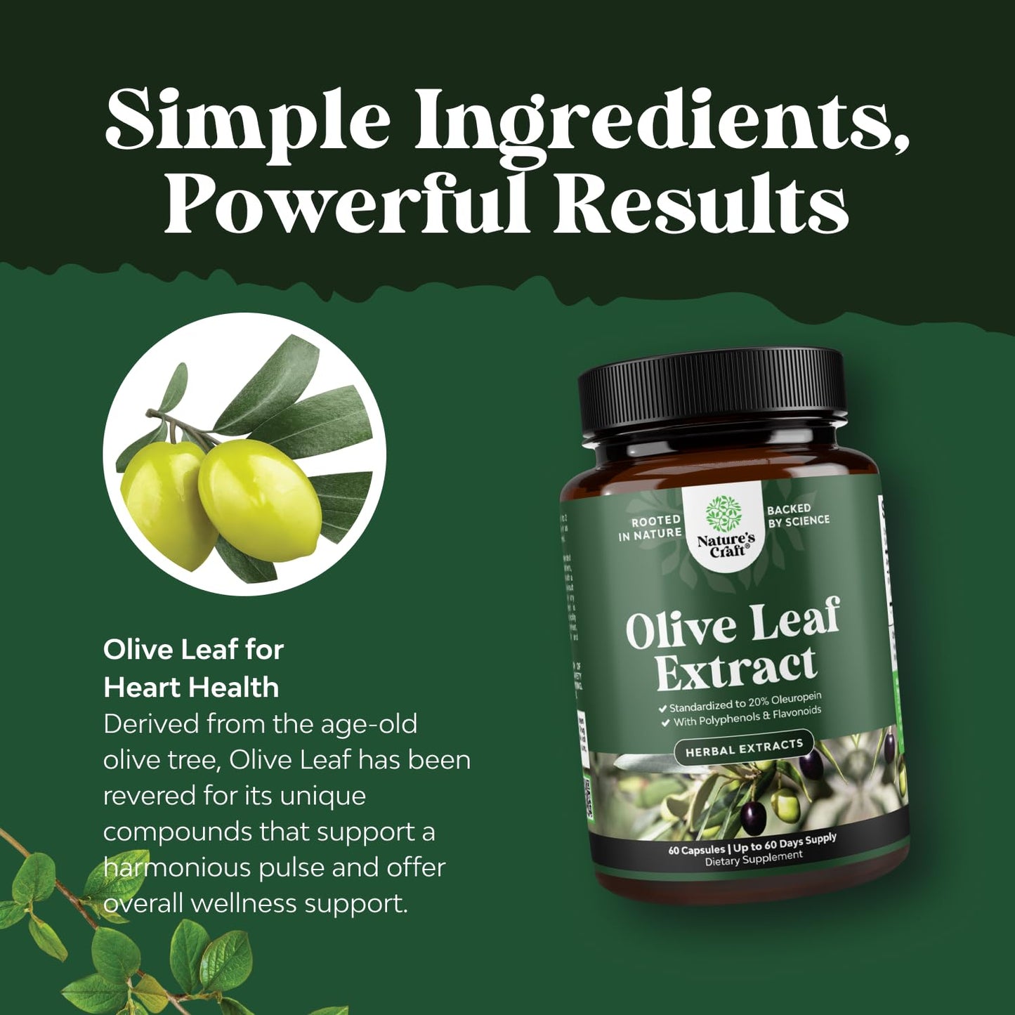 Potent Olive Leaf Extract Capsules - High Strength Antioxidant Supplement with Pure Olive Leaf with 20% Oleuropein - Herbal Heart Health Supplement - Vegan Non-GMO & Gluten Free (2 Month Supply)