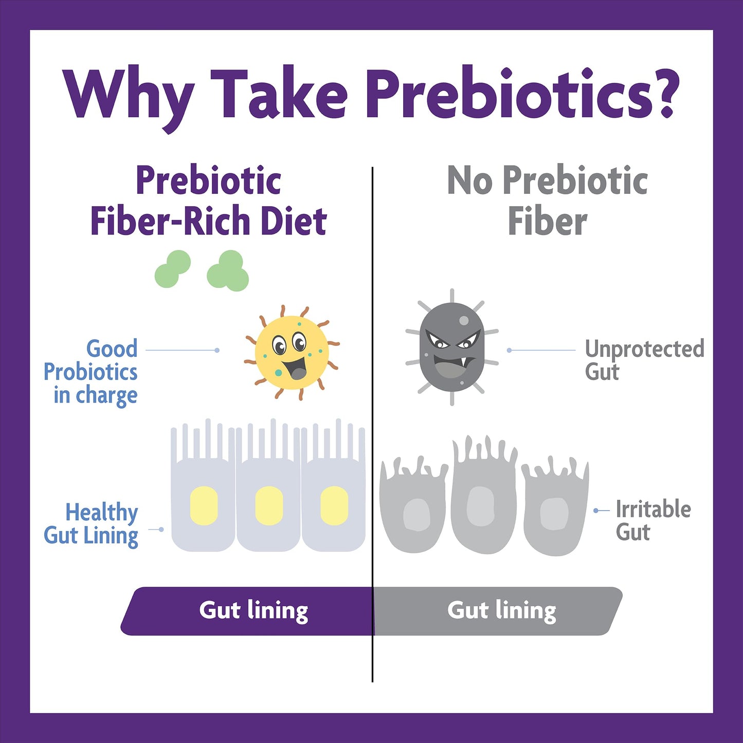InnovixLabs Prebiotic Fiber Powder for Gut & Digestive Health, High Fiber Supplement for Women and Men with Chicory Root, FOS, Acacia, Inulin, Soluble & Insoluble Fiber, No Added Sugar, 30-Day Supply