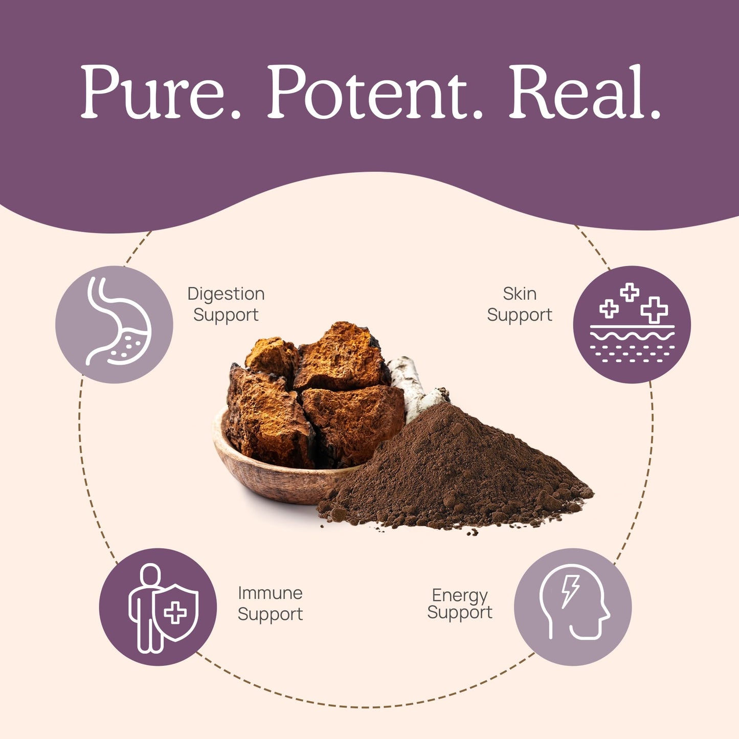 Real Mushrooms Chaga Mushroom Powder – Organic Chaga Extract from Fruiting Body – for Daily Wellness & Energy Support – Vegan, Non-GMO, 60 Servings Mushroom Supplement