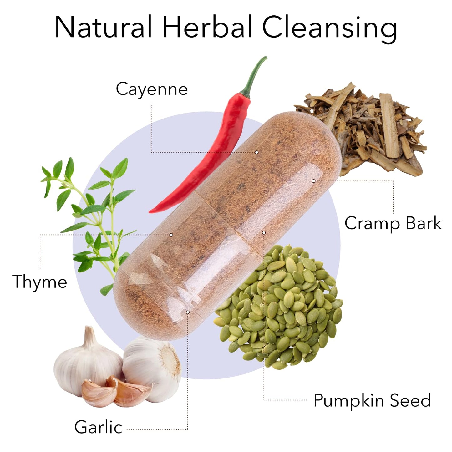 Kroeger Herb Products, Rascal, Balanced Gut & Heart Health with Herbs Like Garlic, Cayenne, Pumpkin Seeds, Vegetarian, Non-GMO, Gluten Free, No Preservatives, Healthy Microbial Balance, Made in USA