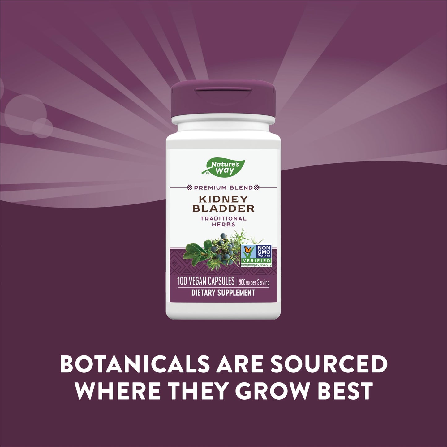 Nature's Way Kidney Bladder, Traditional Herbs Supplement, 900mg Per Serving, 100 Vegan Capsules (Pack of 2)