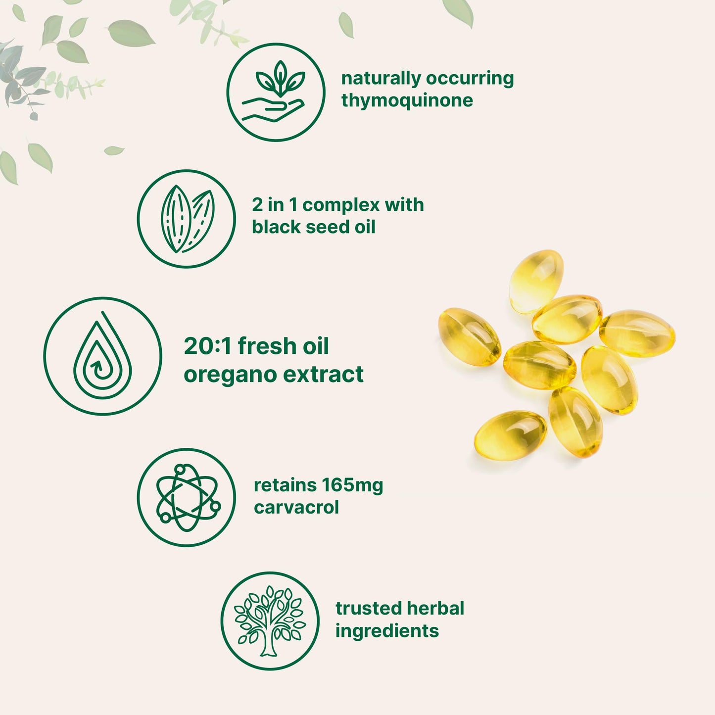 Micro Ingredients Oil of Oregano, 300 Softgel | Oregano Oil with Black Seed Oil, 4X Strength Carvacrol & Thymoquinone | Plant Based, Non-GMO | Antioxidant & Immune Support