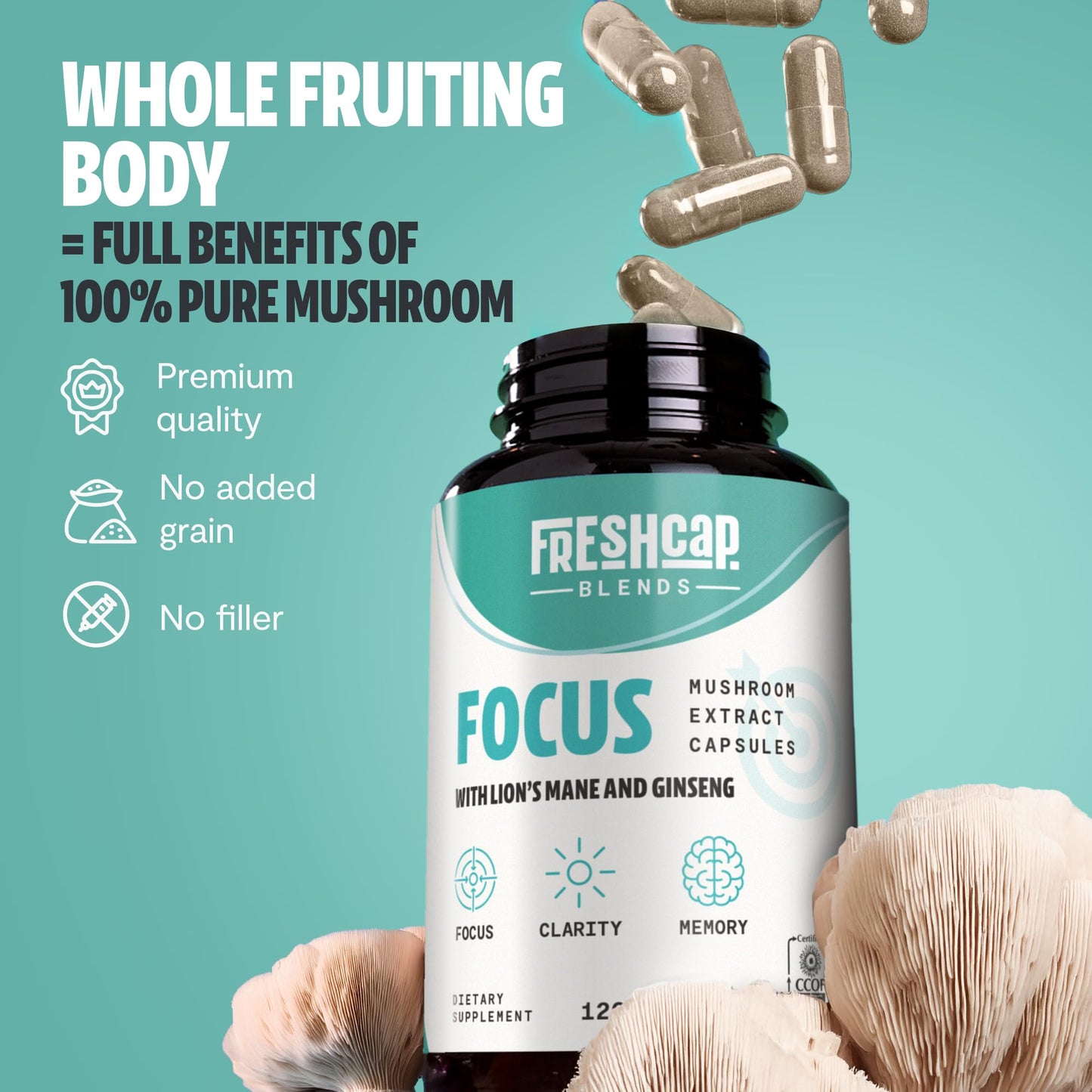 FreshCap 4-in-1 Focus Supplement - Brain Supplements for Memory and Focus - Memory Supplement for Brain, Brain Booster Supplement, Lions Mane Extract, Ayurveda Ginseng (120 Capsules)