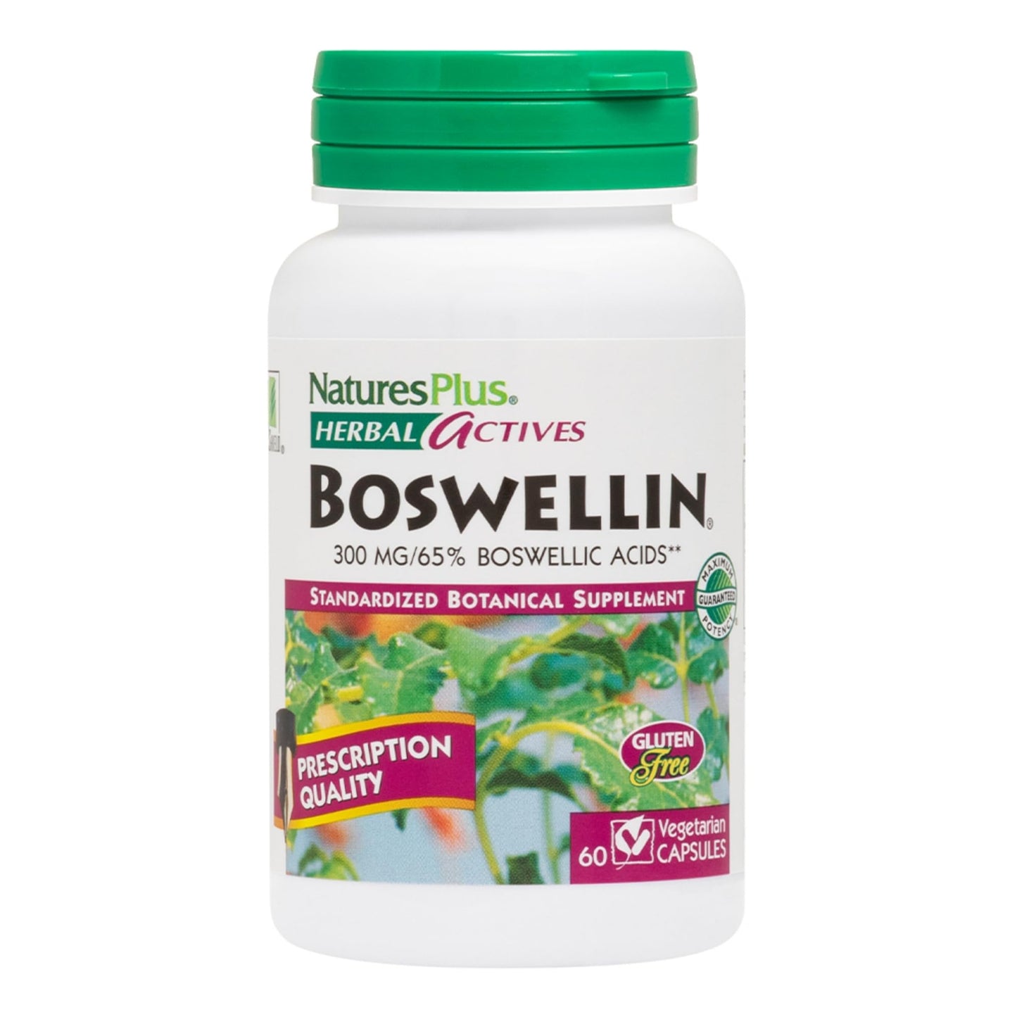 NaturesPlus Herbal Actives Boswellin - 60 Capsules - Promotes Healthy Connective Tissue & Joint Comfort - Vegetarian, Gluten Free - 60 Servings