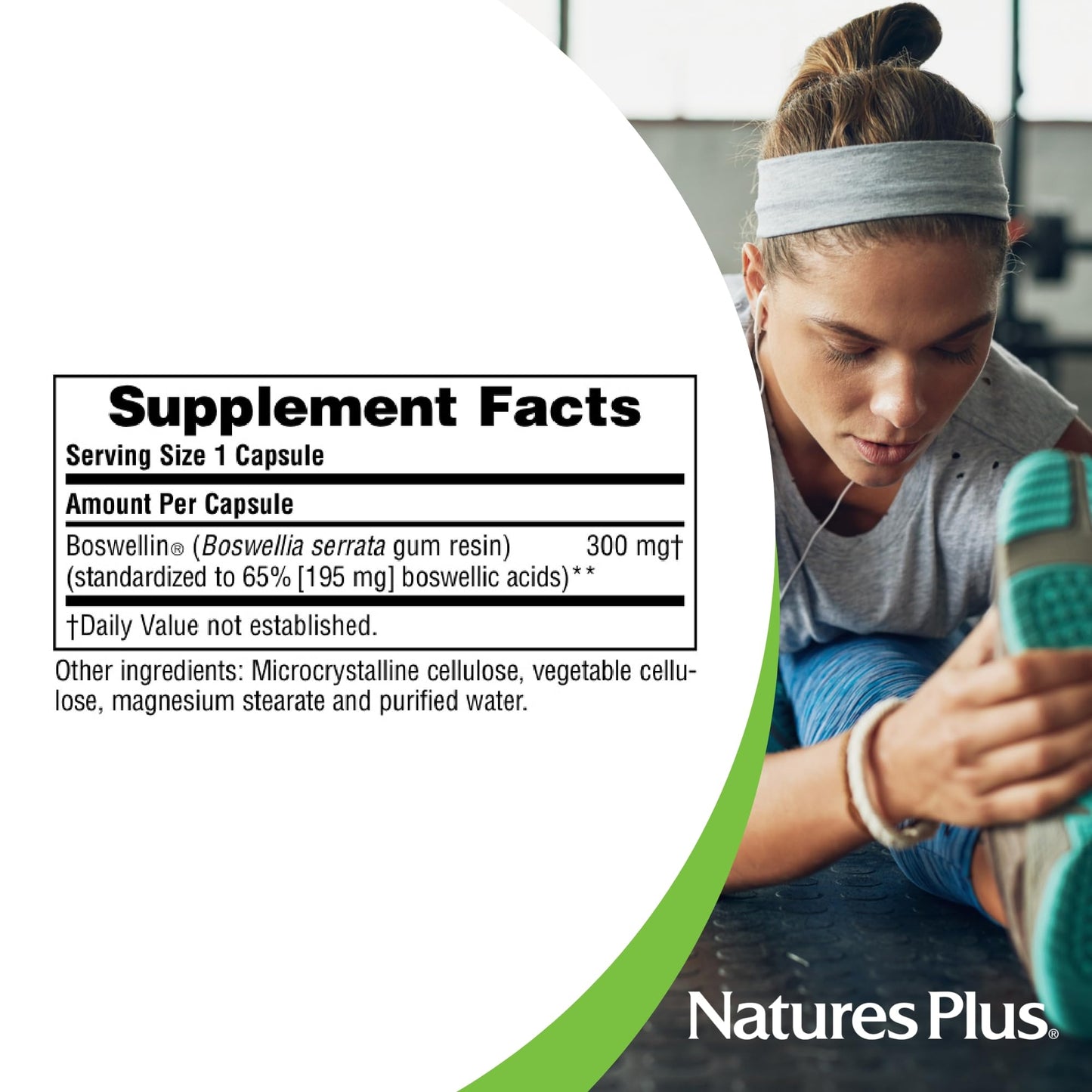 NaturesPlus Herbal Actives Boswellin - 60 Capsules - Promotes Healthy Connective Tissue & Joint Comfort - Vegetarian, Gluten Free - 60 Servings