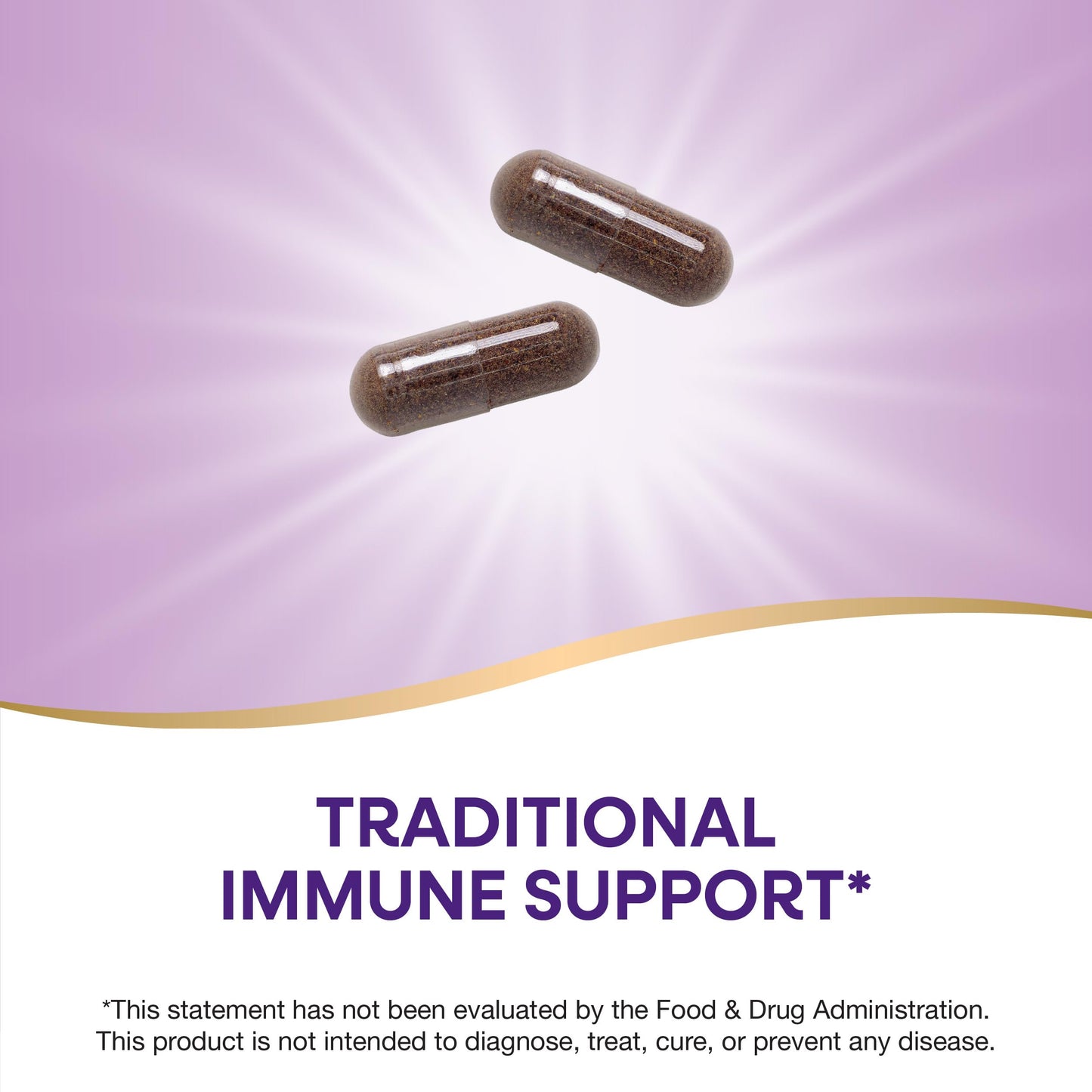 Nature's Way Black Elderberry Supplement, Traditional Immune Support*, With Elderberry and Elderflower, Plant Powered, 100 Capsules (Packaging May Vary)