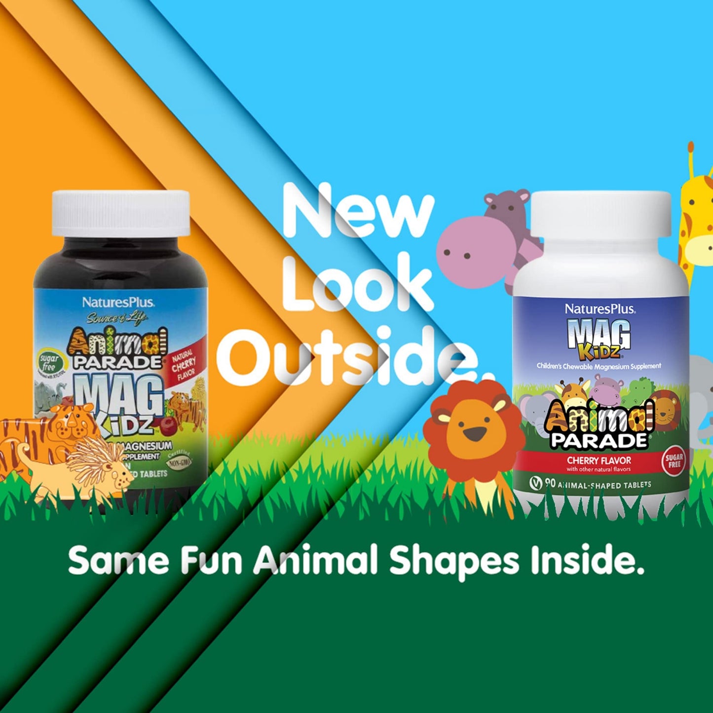 NaturesPlus Animal Parade Source of Life Sugar-Free MagKidz Children's Magnesium Supplement - Natural Cherry Flavor - 90 Count (Pack of 1) - Bone & Muscle Health Support - Gluten-Free