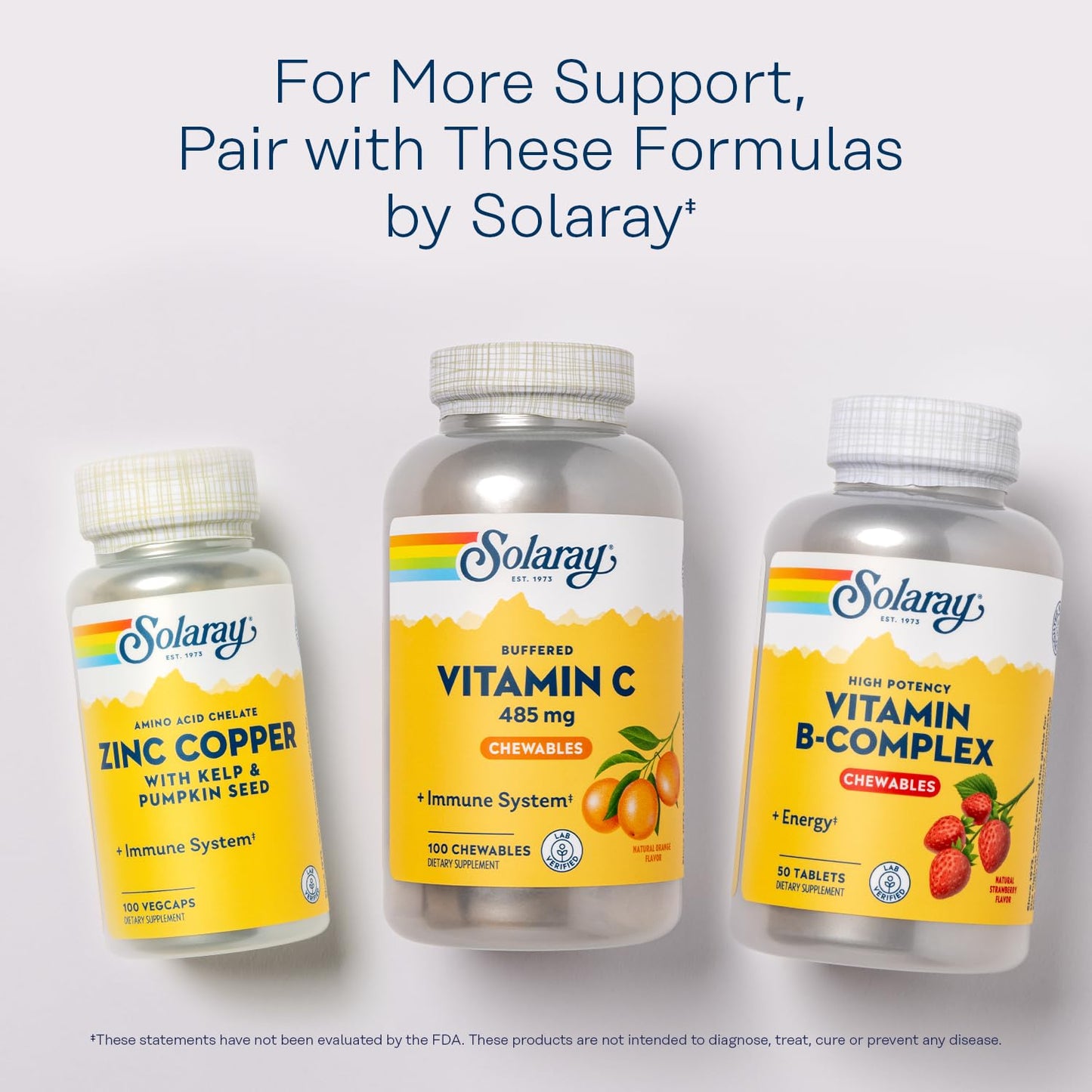 Pre-Order | Arrives in 5–10 Days – SOLARAY Chewable Vitamin C with Rose HIPS and Acerola Cherry - Buffered Vitamin C for Gentle Digestion - Immune Support Supplement - Natural Orange Flavor, 60-Day Guarantee, 100 Serv, 100 Chewables