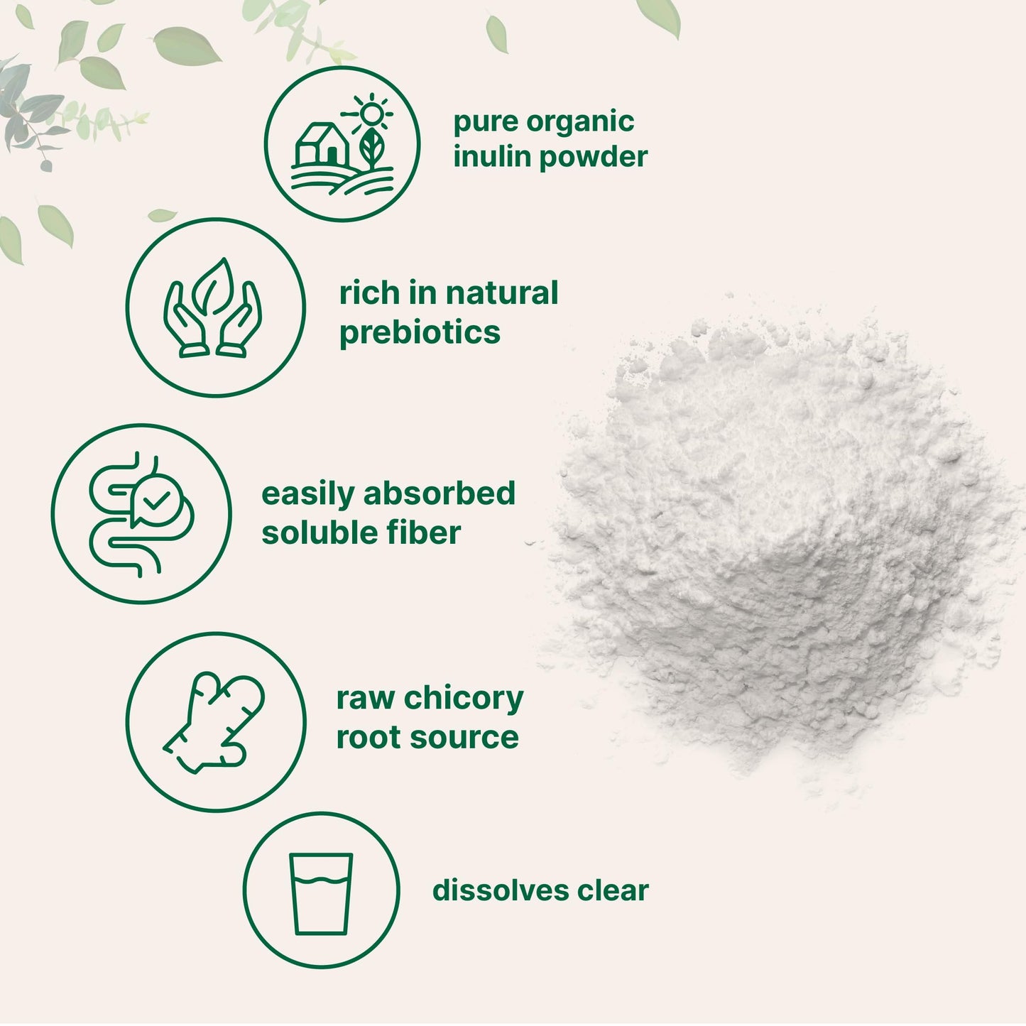 Micro Ingredients Organic Chicory Root Inulin Powder, 2 Pounds | Natural Prebiotic Fiber Supplement | Intestinal Support for Colon and Gut Health | Non-GMO and Vegan Friendly