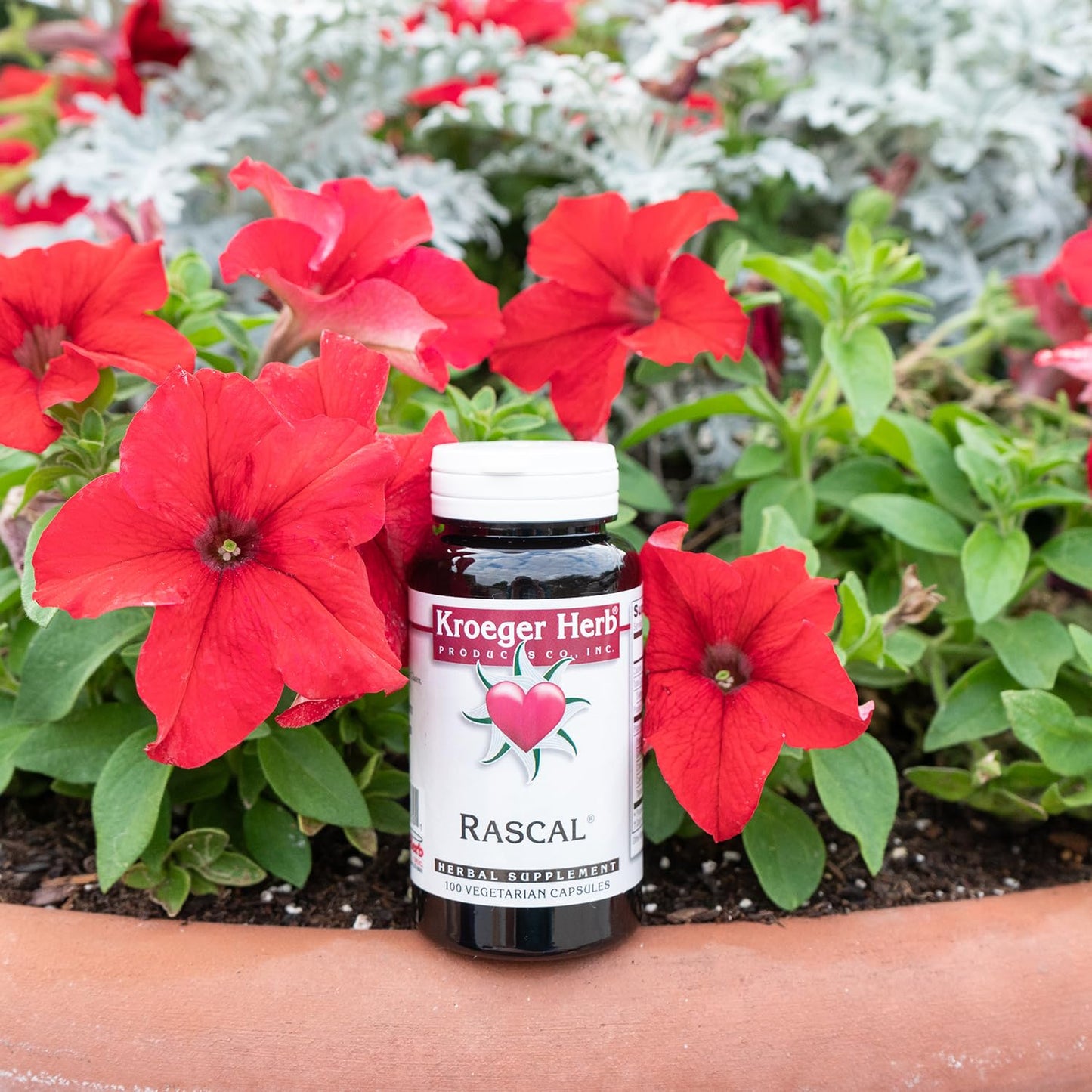 Kroeger Herb Products, Rascal, Balanced Gut & Heart Health with Herbs Like Garlic, Cayenne, Pumpkin Seeds, Vegetarian, Non-GMO, Gluten Free, No Preservatives, Healthy Microbial Balance, Made in USA