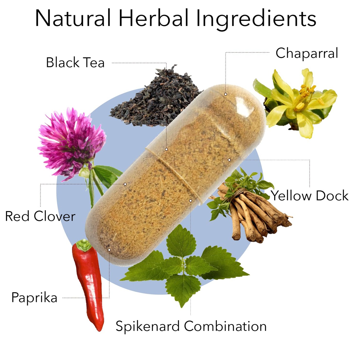 Kroeger Herb Products Wormwood and Chem X Bundle