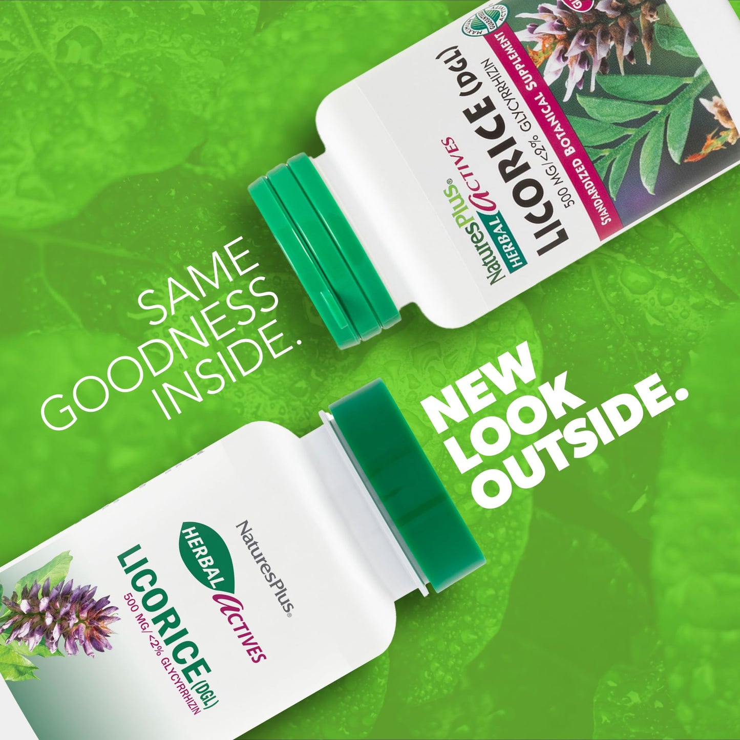 Natures Plus Herbal Actives Licorice (DGL) Capsules - 500mg, 60 Vegan Supplements - Vegetarian, Gluten-Free - 60 Servings
