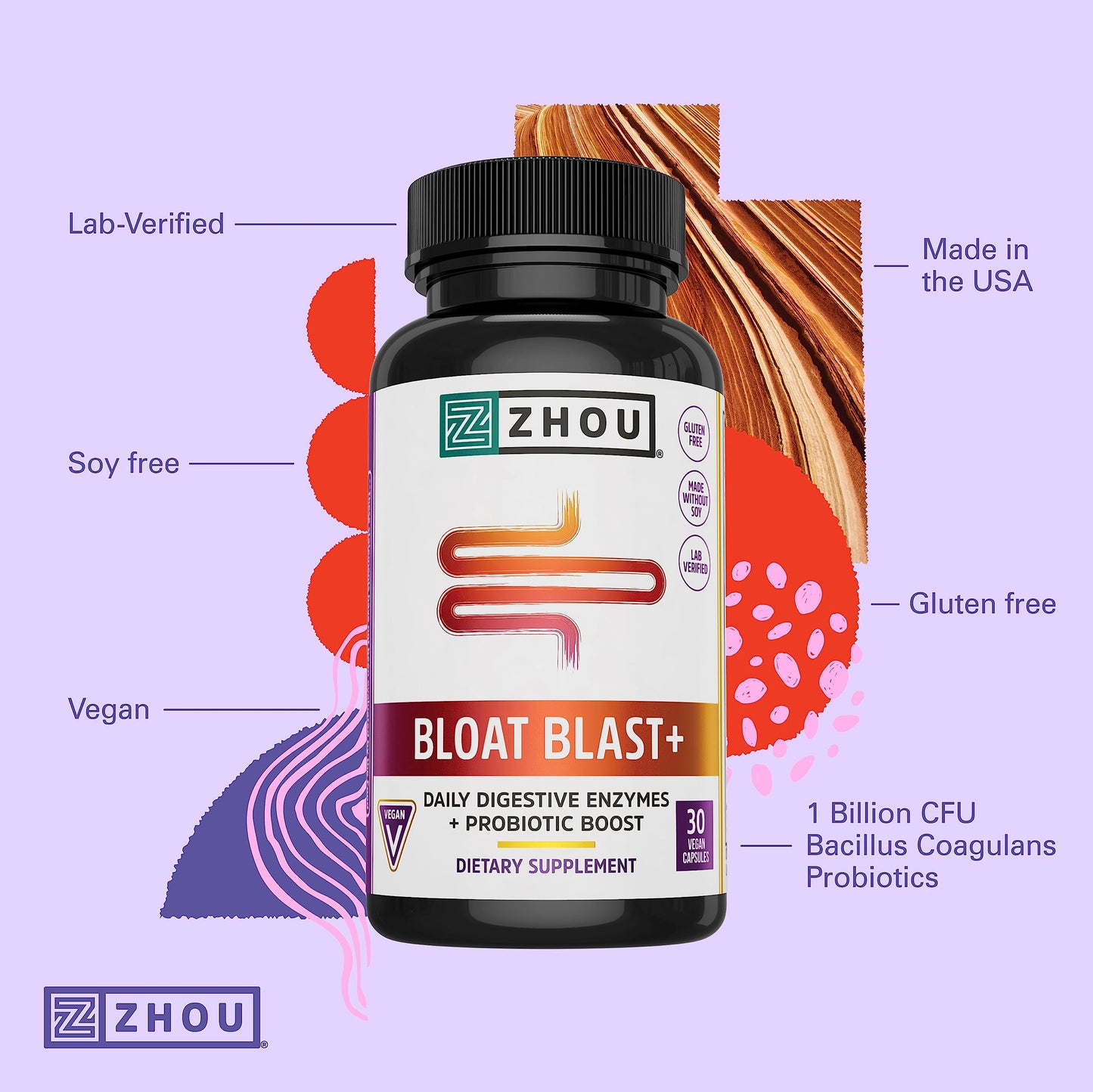 Zhou Nutrition Bloat Blast+ - Digestive Support Supplement for Women & Men, Digestive Enzymes with Probiotics for Gut Health - 30 Veggie Capsules