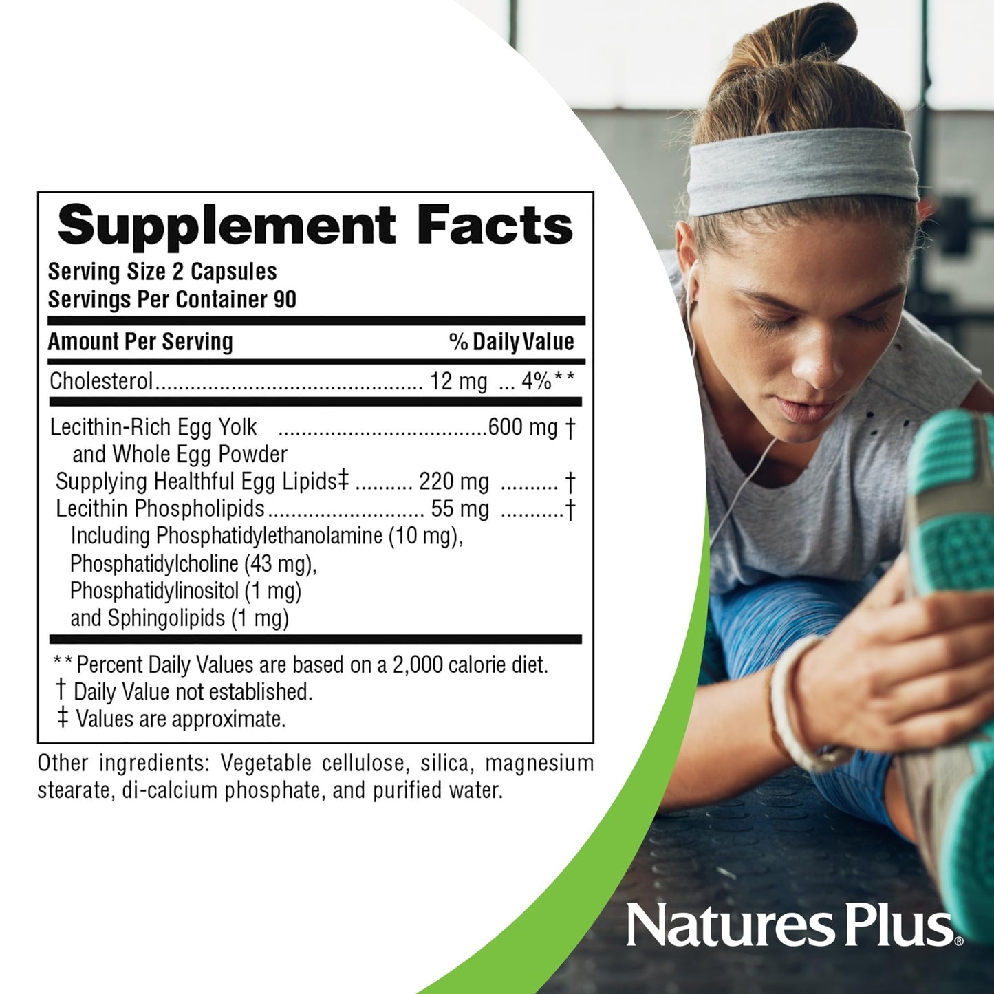 Natures Plus Egg Yolk Lecithin - 600 mg, 90 Vegetarian Capsules - Pack of 2 - Supports Body's Natural Defenses & Optimal Liver Function - Soy Free, Gluten Free - 90 Servings