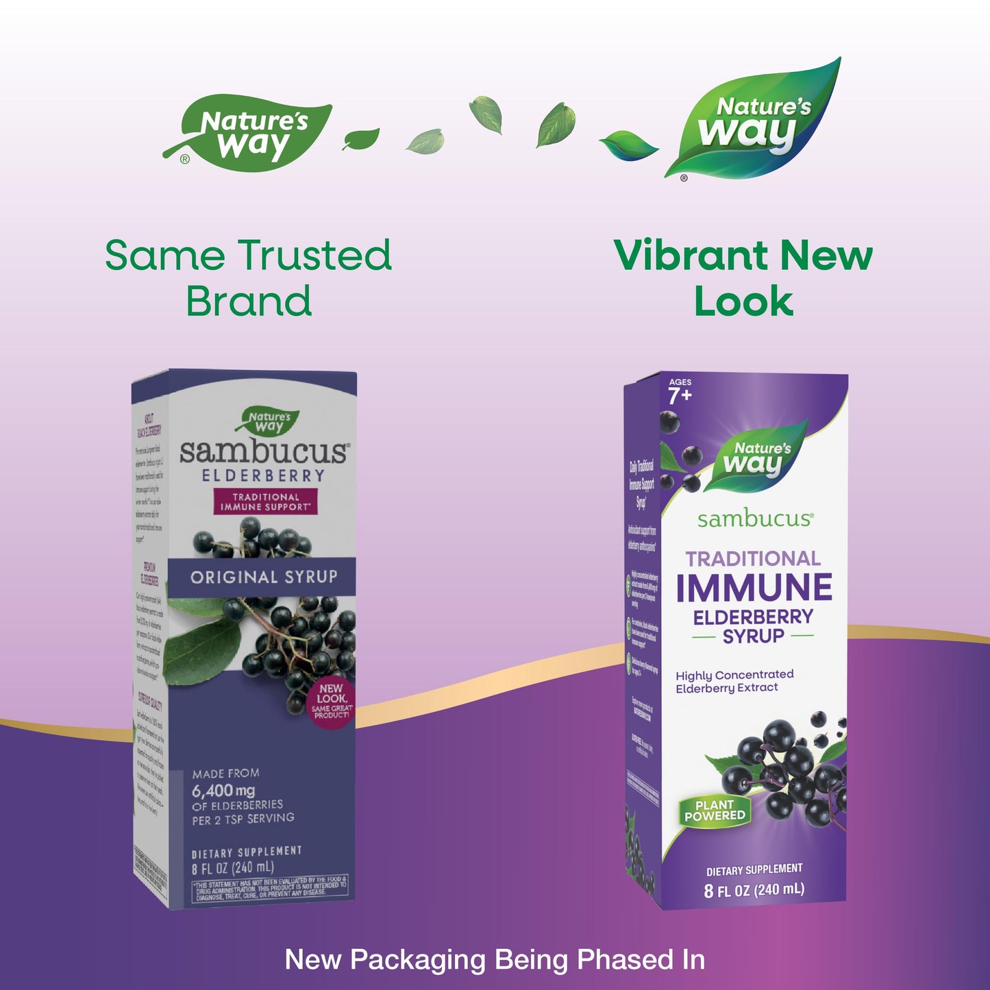 Nature’s Way Sambucus Elderberry Traditional Immune Syrup, Highly Concentrated Black Elderberry Extract, Traditional Immune Support*, Delicious Berry Flavored, 8 Fl Oz (Packaging May Vary)
