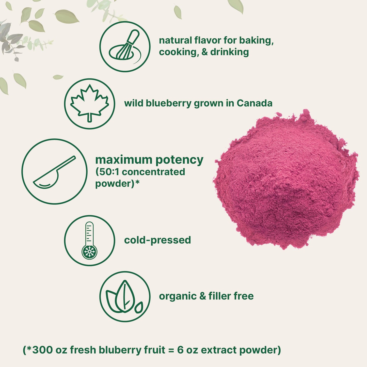 Organic Blueberry Extract Powder, 10oz | 100% Natural Fruit Powder | Freeze-Dried Wild Blueberries Source | No Sugar & Additives | Great Flavor for Drinks, Smoothie, & Beverages | Non-GMO & Vegan