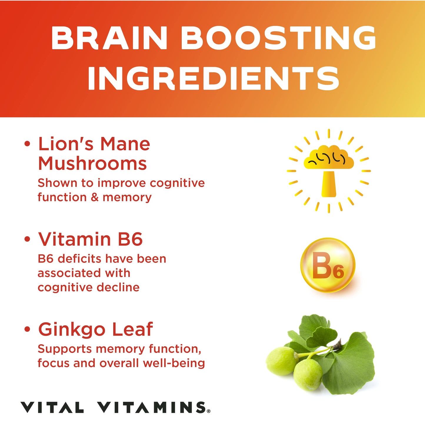 Vital Vitamins Nootropic Brain Supplement Plus - for Memory, Focus, Concentration, Neuro Energy, Clarity - with Lion's Mane Mushrooms - 60 Capsules