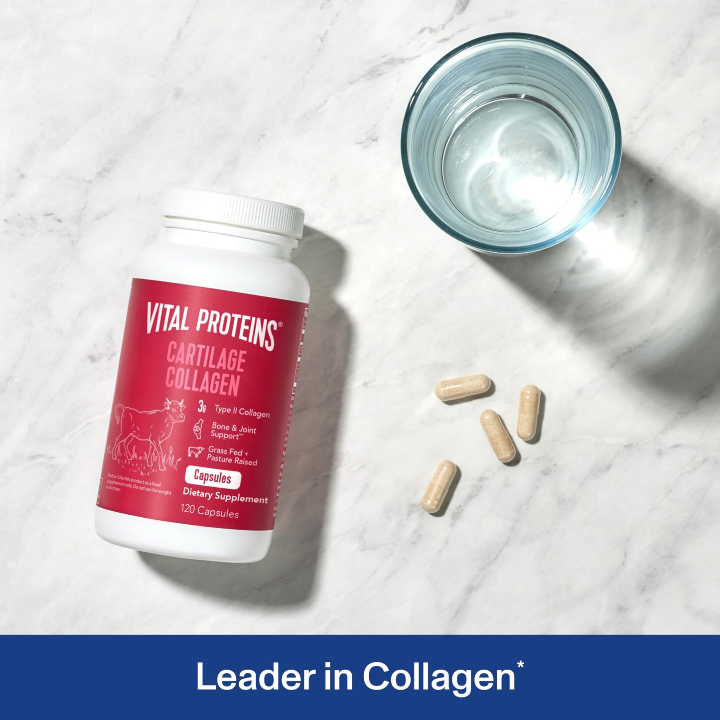 Vital Proteins Cartilage Collagen Pills, Type II Collagen & Chondroitin Sulfate Supplement for Recovery & Healthy Hair, Skin, Nails and Joints - 750 mg Serving with 120 Capsules