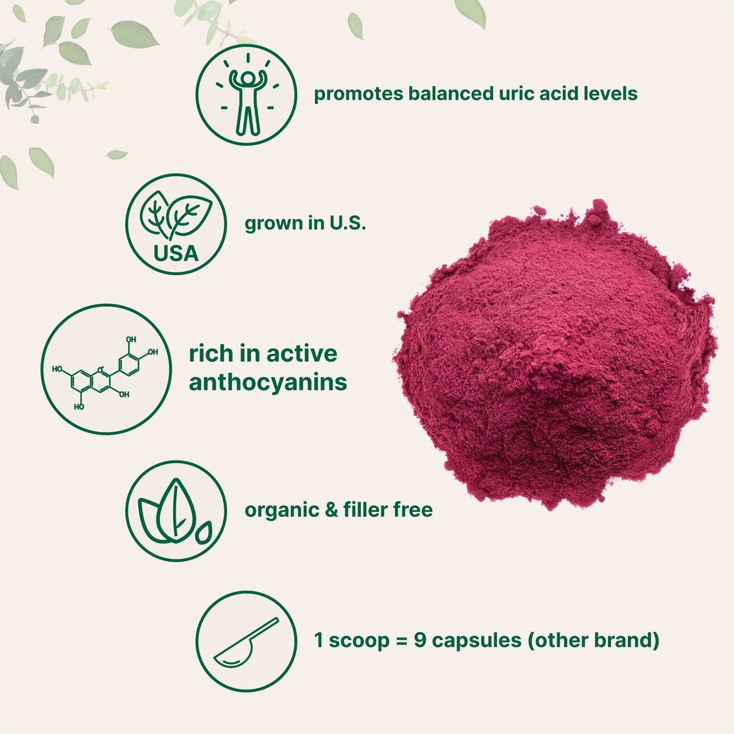Pre-Order | Arrives in 5–10 Days – Organic Tart Cherry powder, 4oz | 100% Natural Fruit Powder | US Grown Tart Cherries Source | No Sugar & Additives | Great Flavor for Drinks, Smoothie, & Beverages | Non-GMO & Vegan Friendly