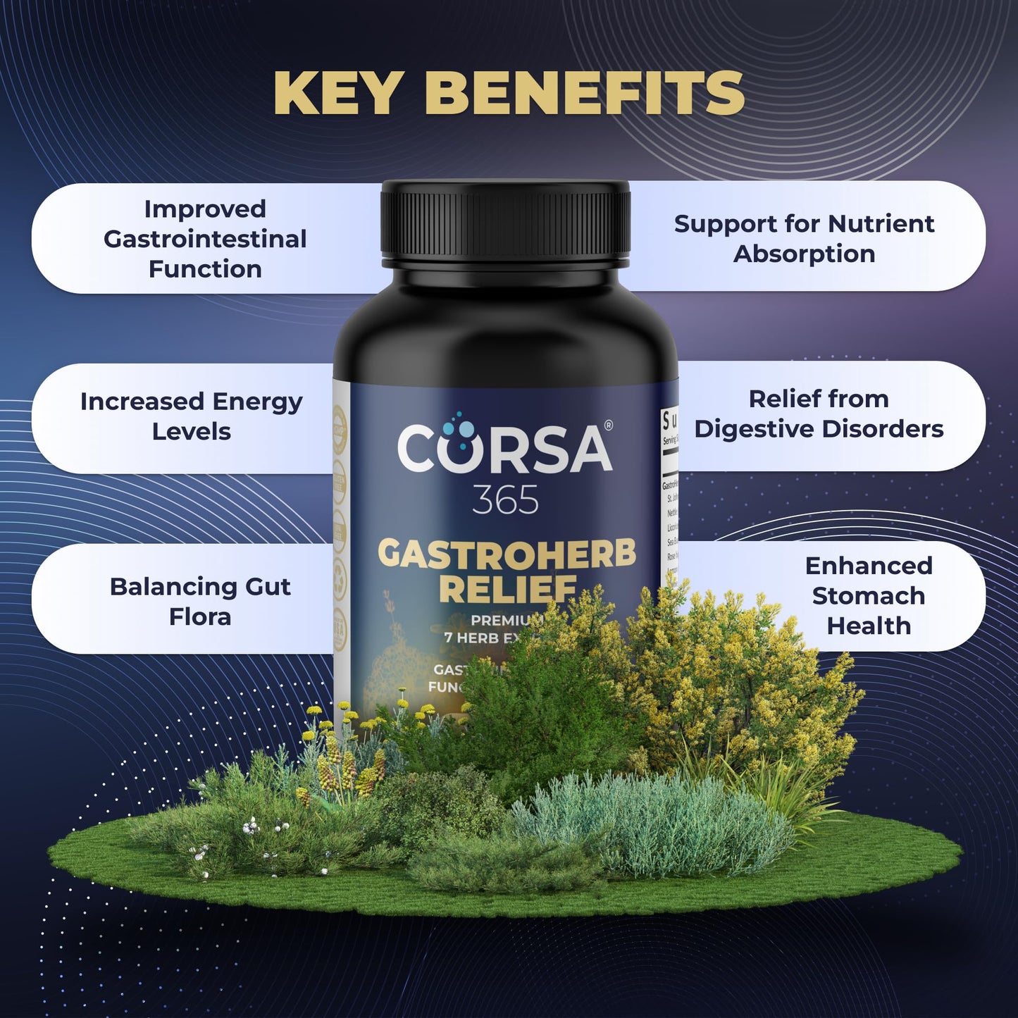 Pre-Order | Arrives in 5–10 Days – CORSA365 Gastroherb Relief 7 Herbs Extract - Immune Support Supplement Digestive Healthy Gut - Immunity Supplement for Men and Women - Natural St Johns Wort, Licorice Root, Rose Hip Oils - 90 Softgels
