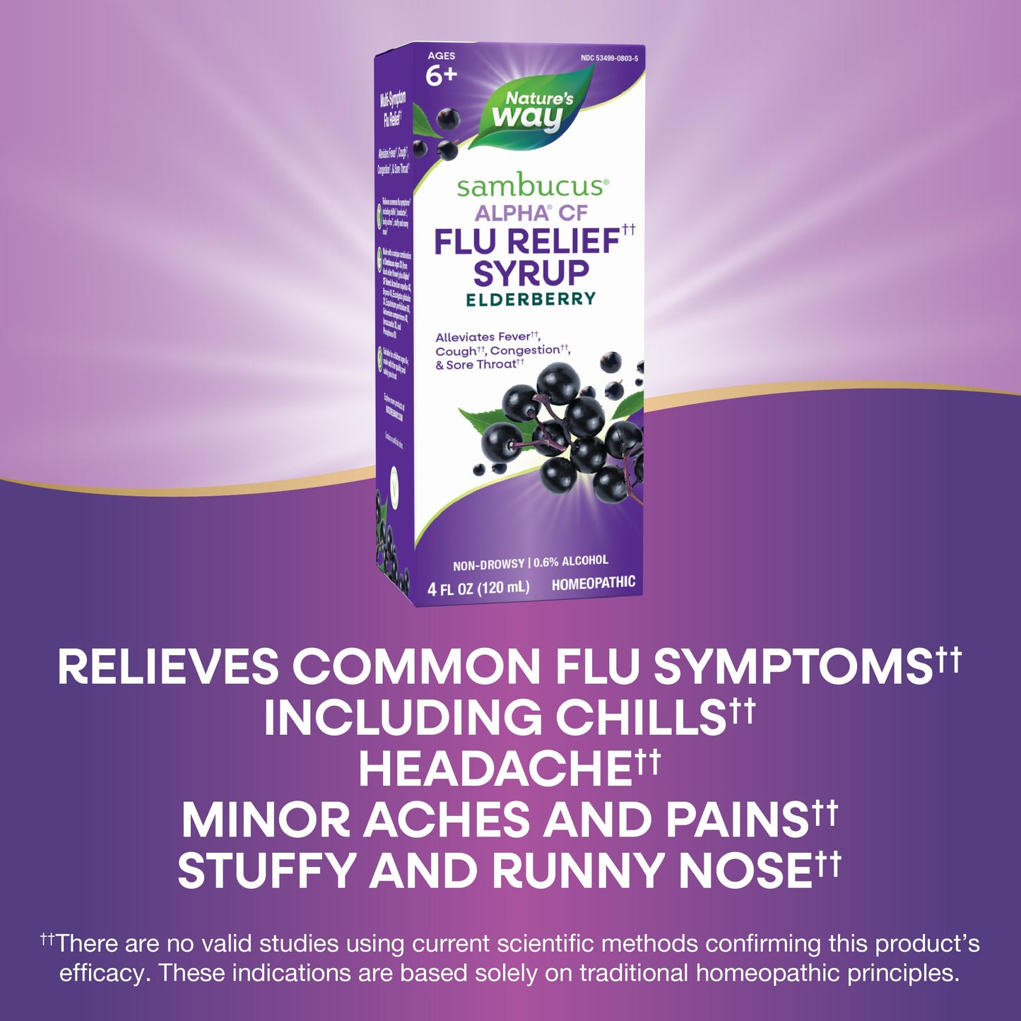 Nature's Way Sambucus Alpha CF Flu Relief* Syrup with Sambucus nigra 3X and Alpha CF, Relieves Flu Symptoms*, 4 Fl Oz (Packaging May Vary)