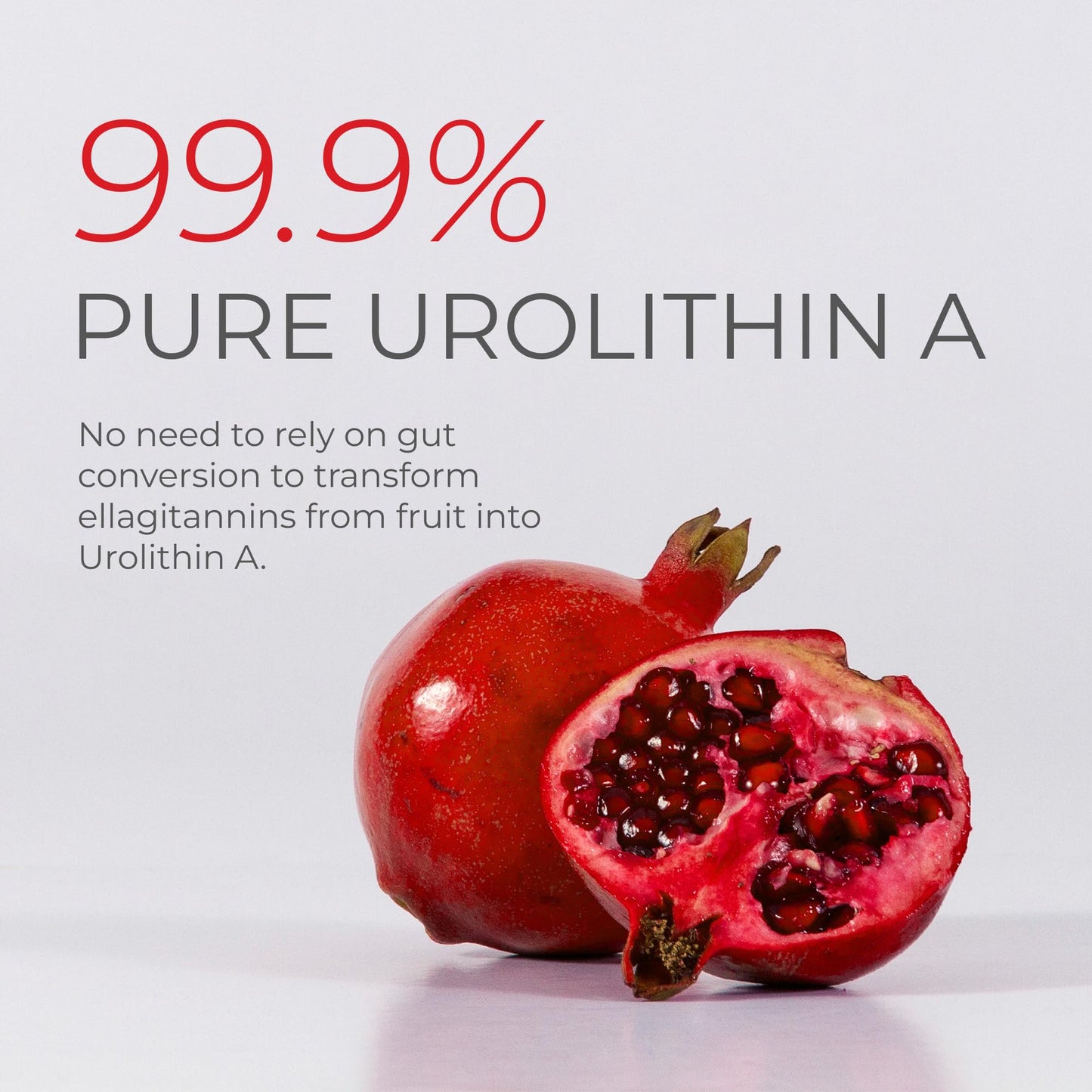Neurogan Urolithin A Powder 800mg - Daily Wellness -Vegan, Non-GMO, Gluten-Free - 30.4g - Pure Urolithin A from Pomegranate Extract - Post Biotic Compound- No Fillers or Flavorings Health